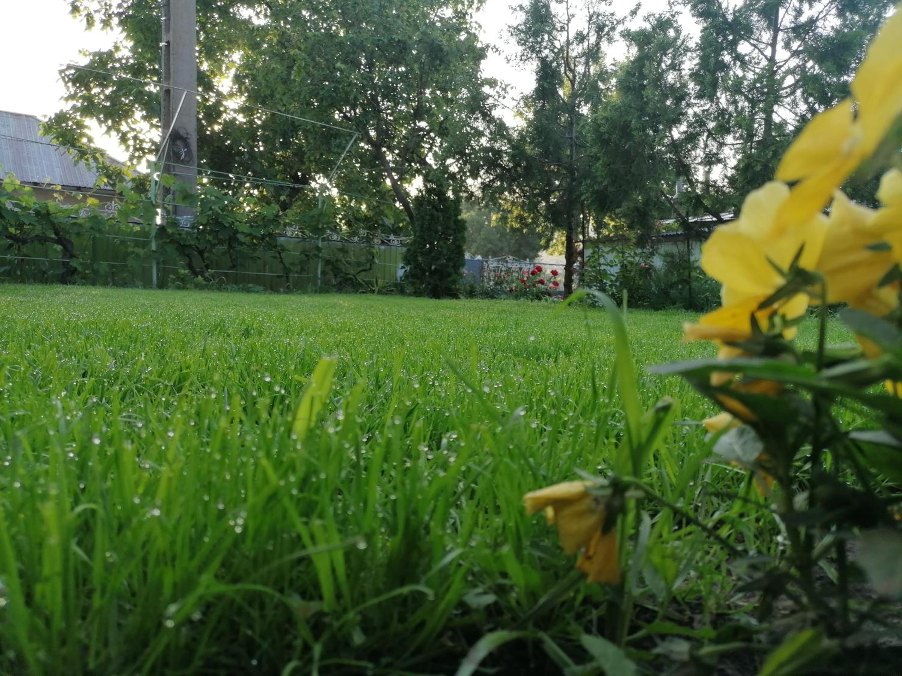 Photo 58