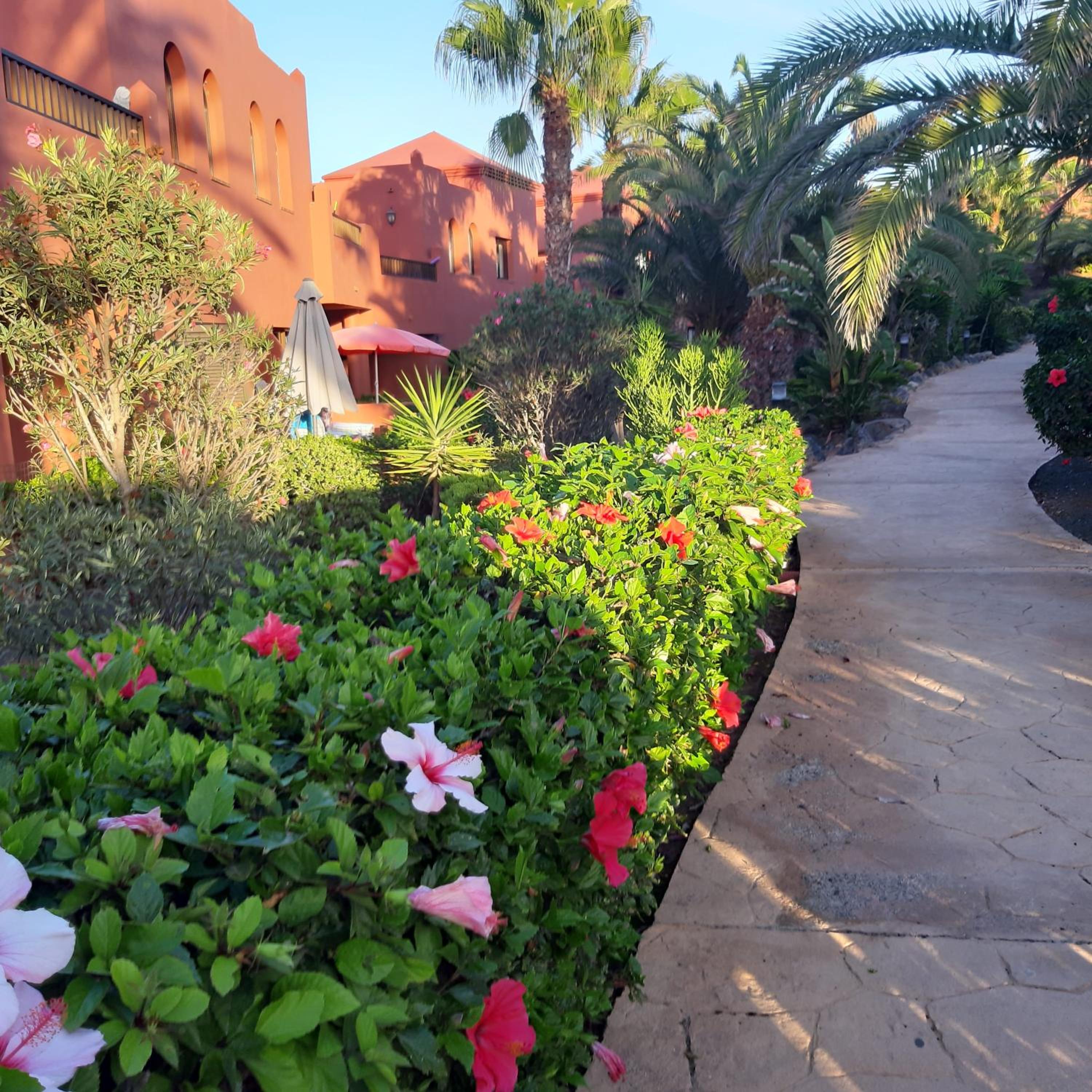 Casa Vacanza in Oasis Tamarindo