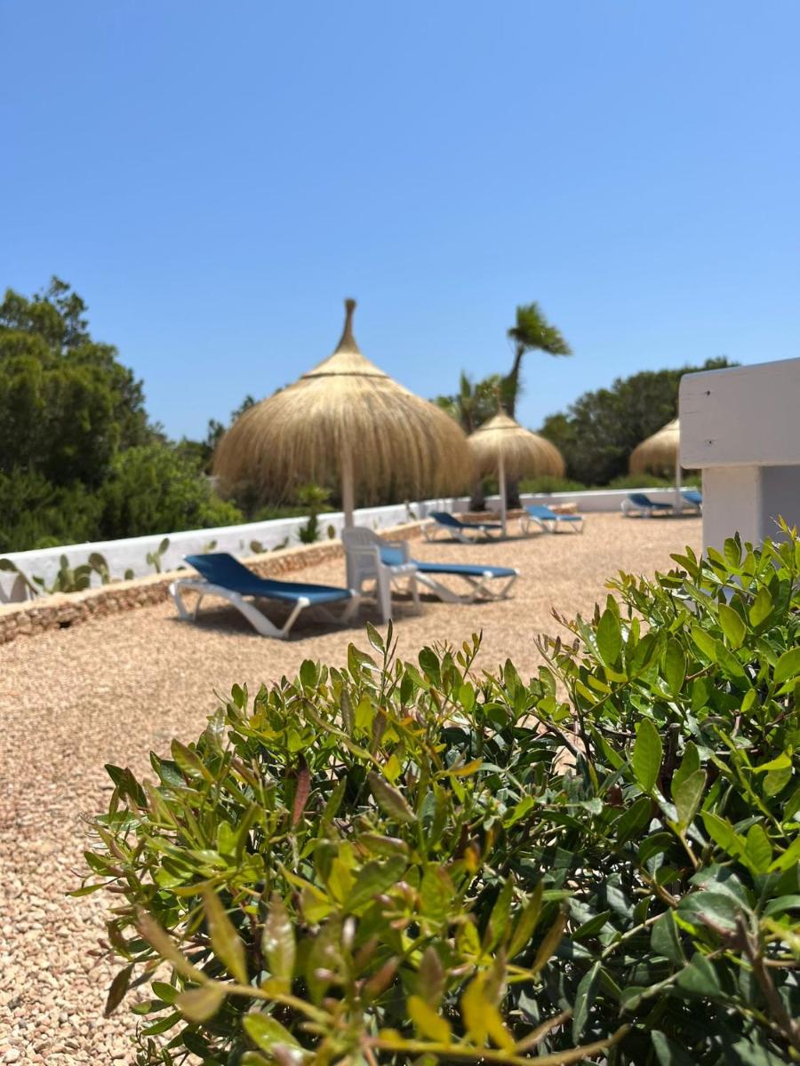 Can Chumbera Formentera view 5