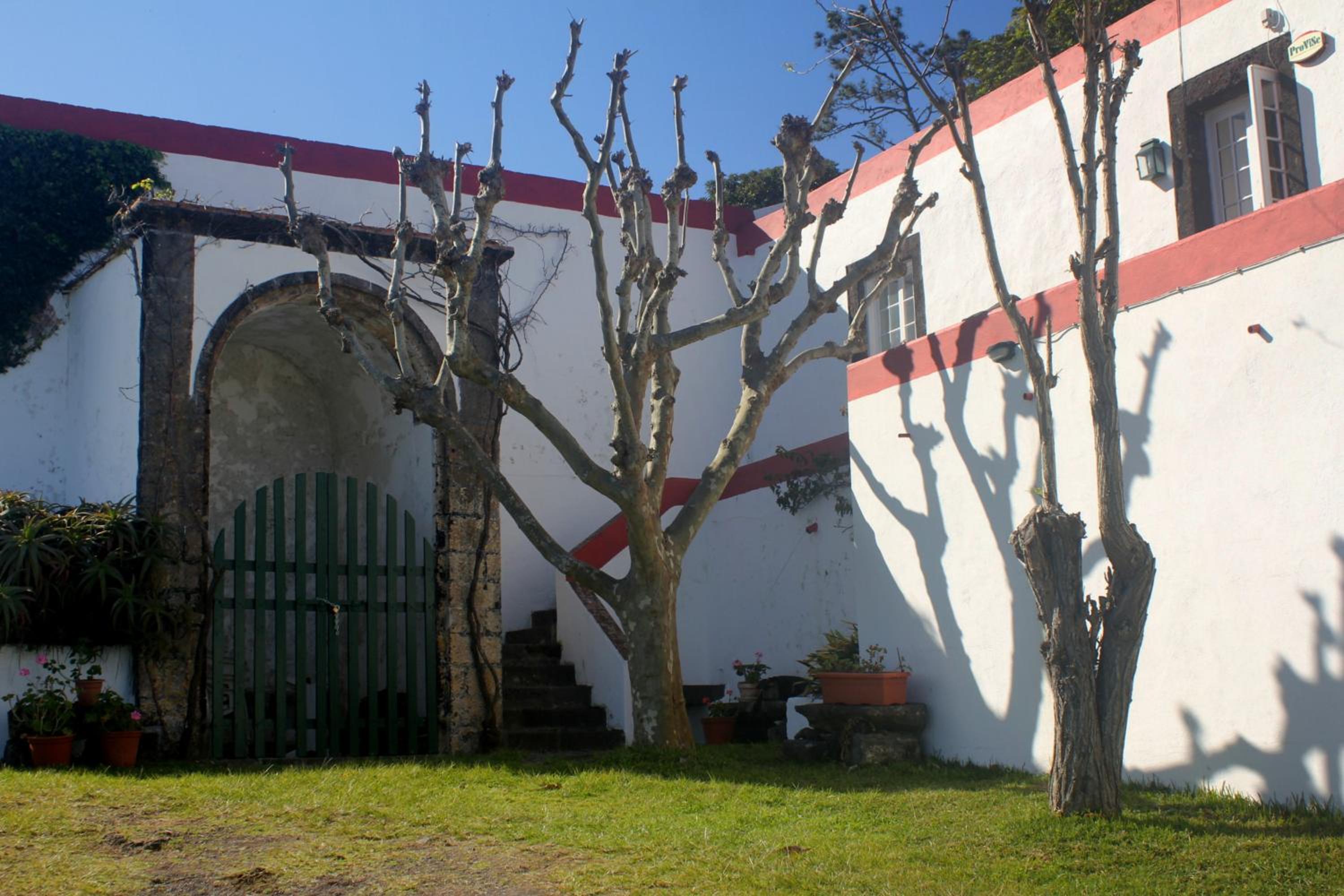 Photo 29