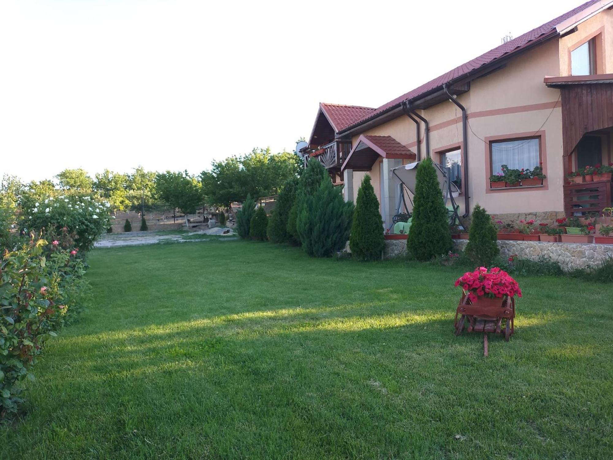 Photo 60