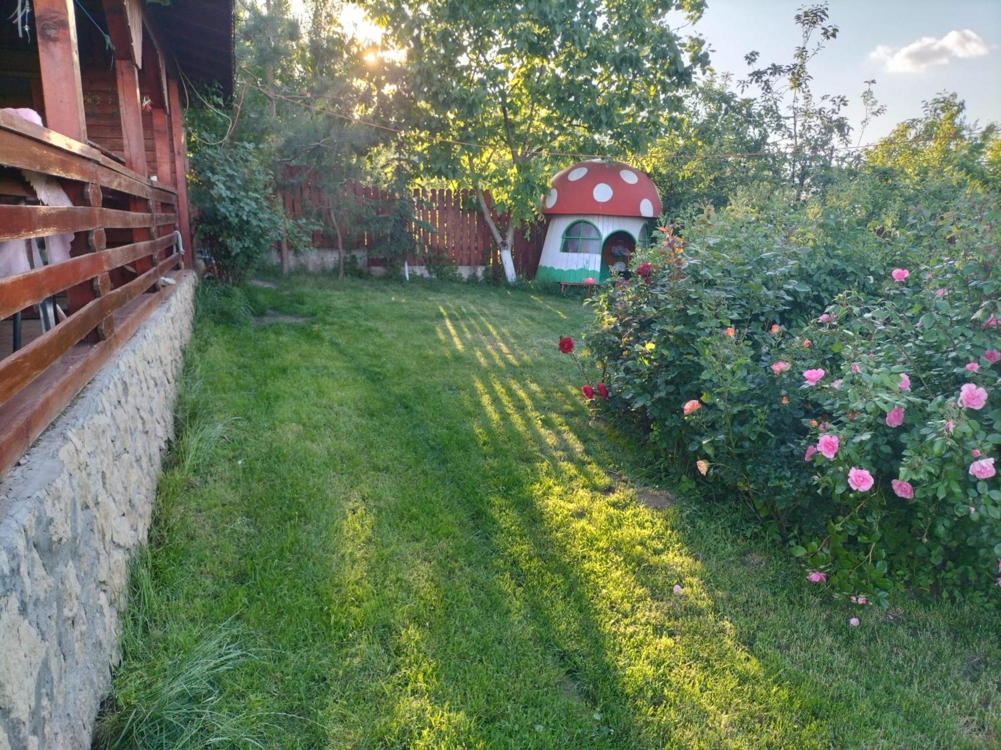 Photo 38