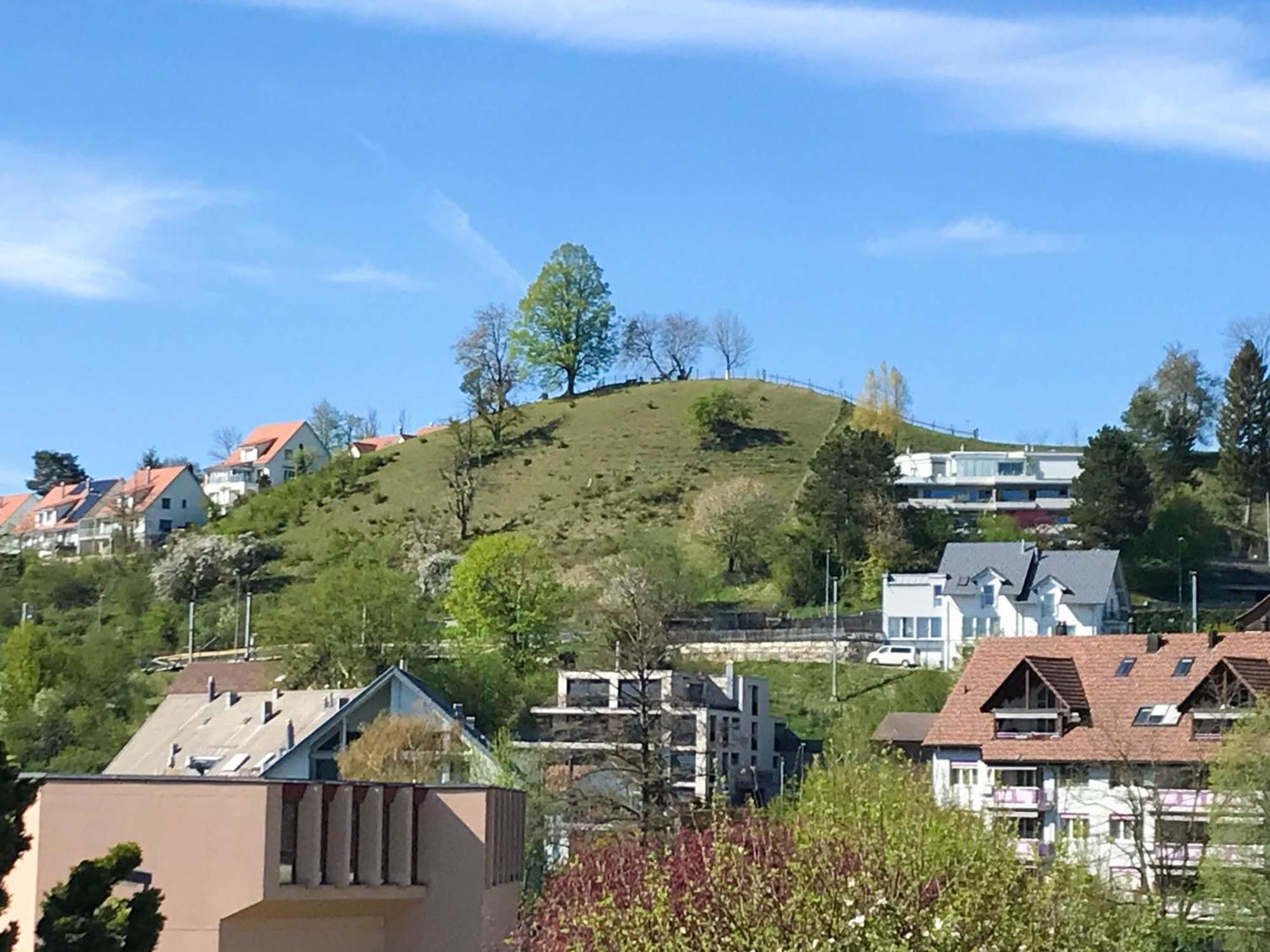 Hilltop-house, near train, 180° panorama, friendly