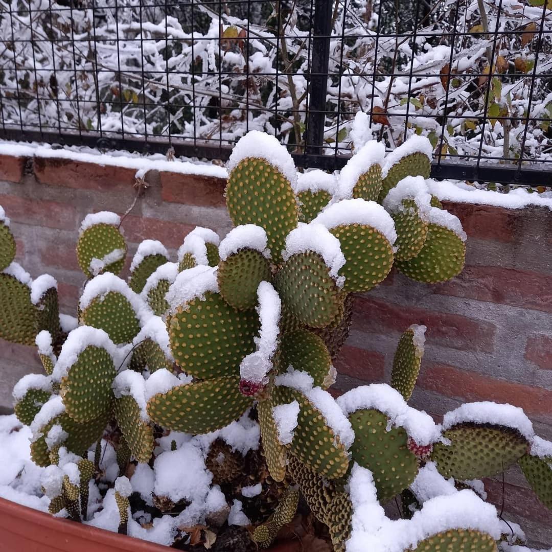 La Mexicana - Alta Gracia