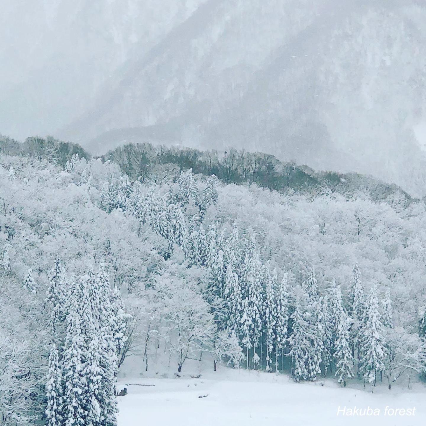 The Guest House Japan Hakuba