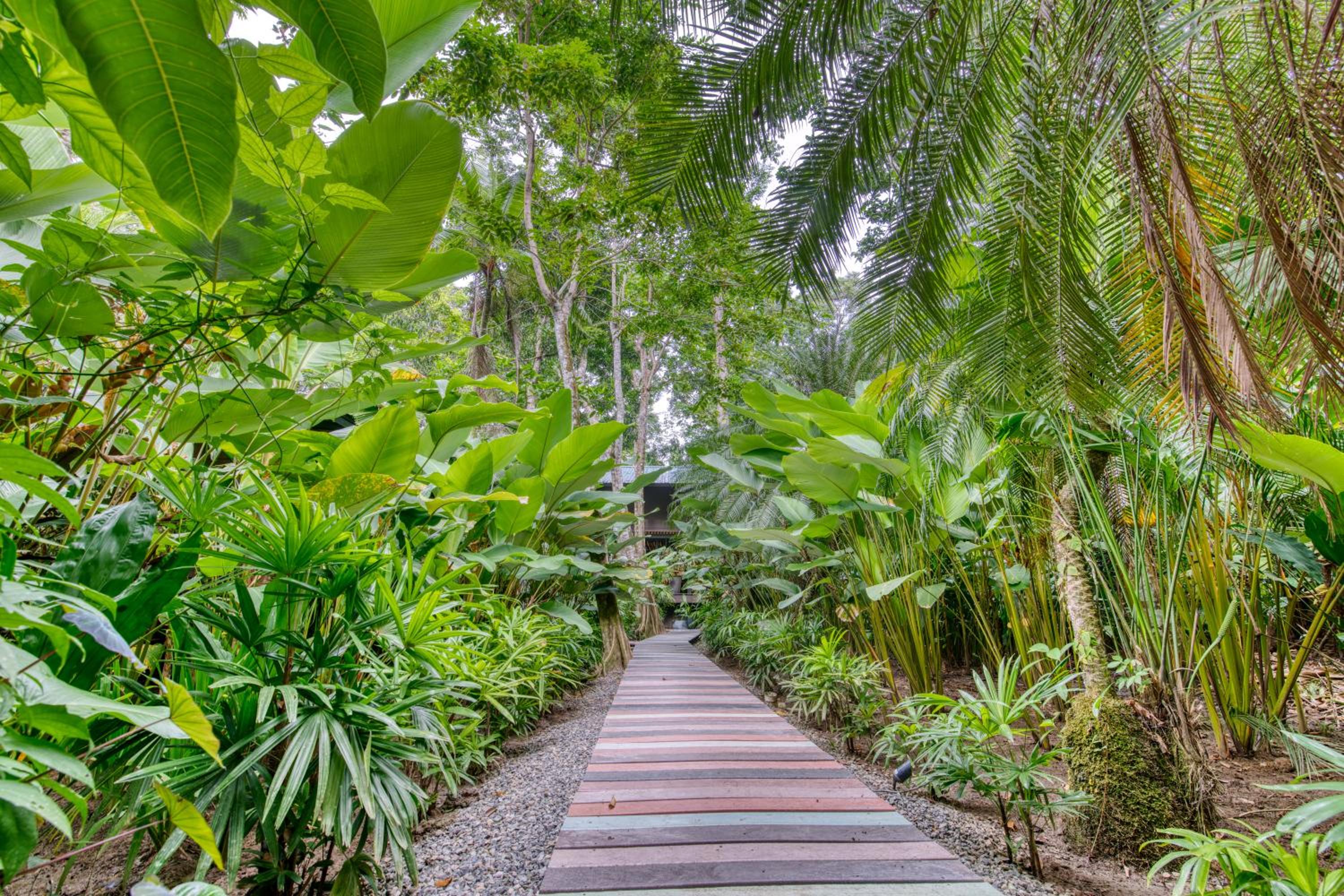Costa Rica Caribbean Coast Vacations - aWa Beach Hotel - Property Image 8