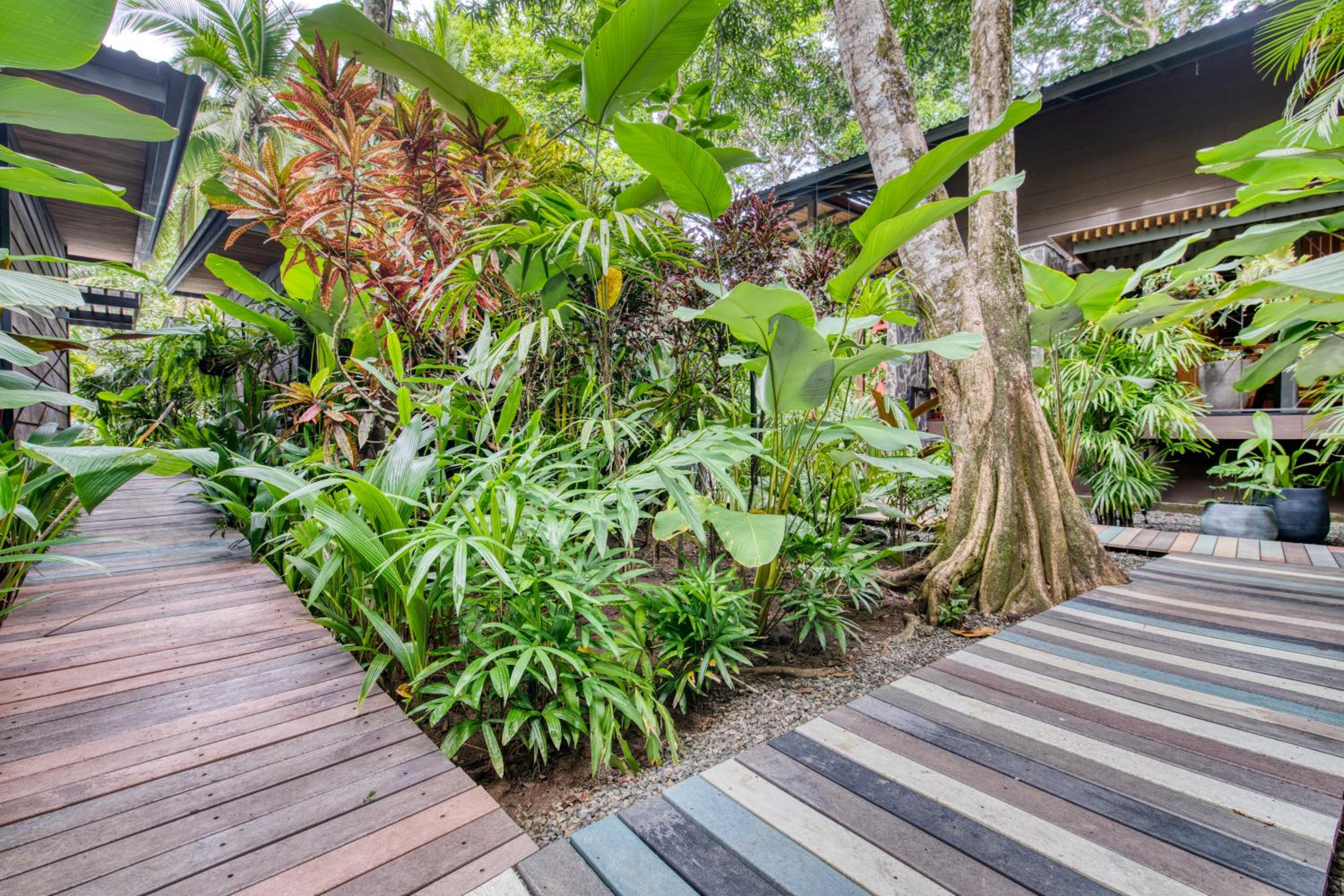 Costa Rica Caribbean Coast Vacations - aWa Beach Hotel - Property Image 7