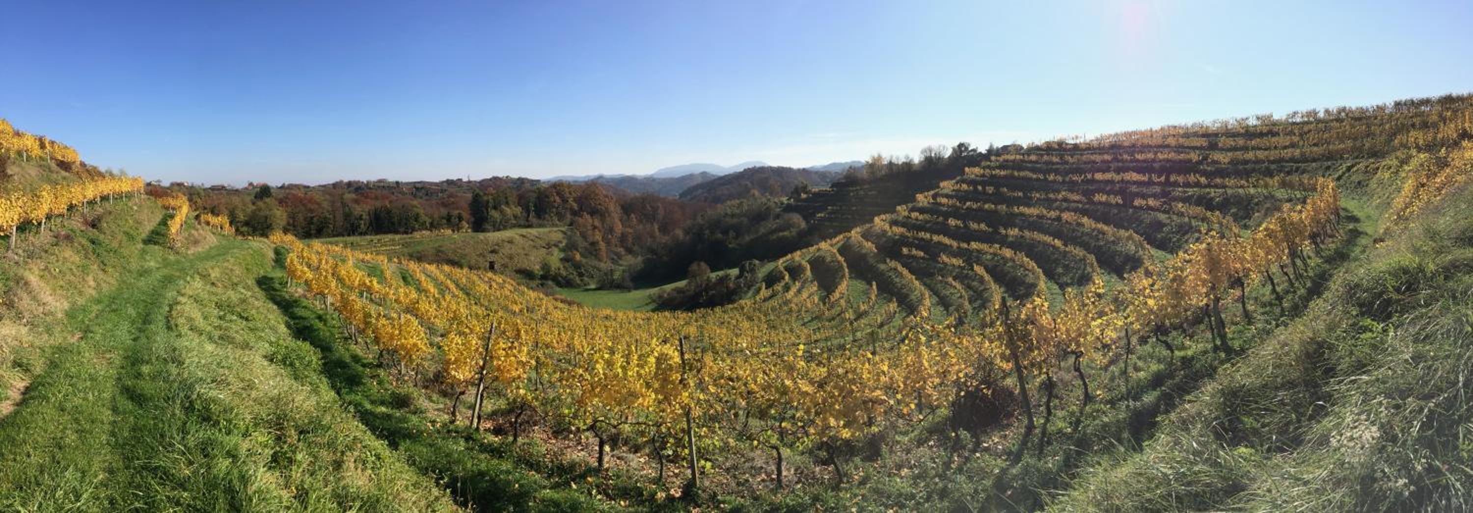 Hisa Vina view 2