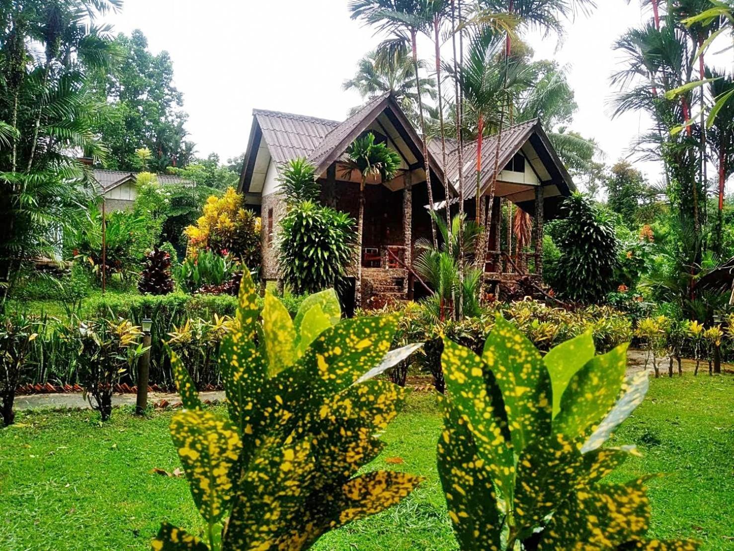 Tree Tops River Huts