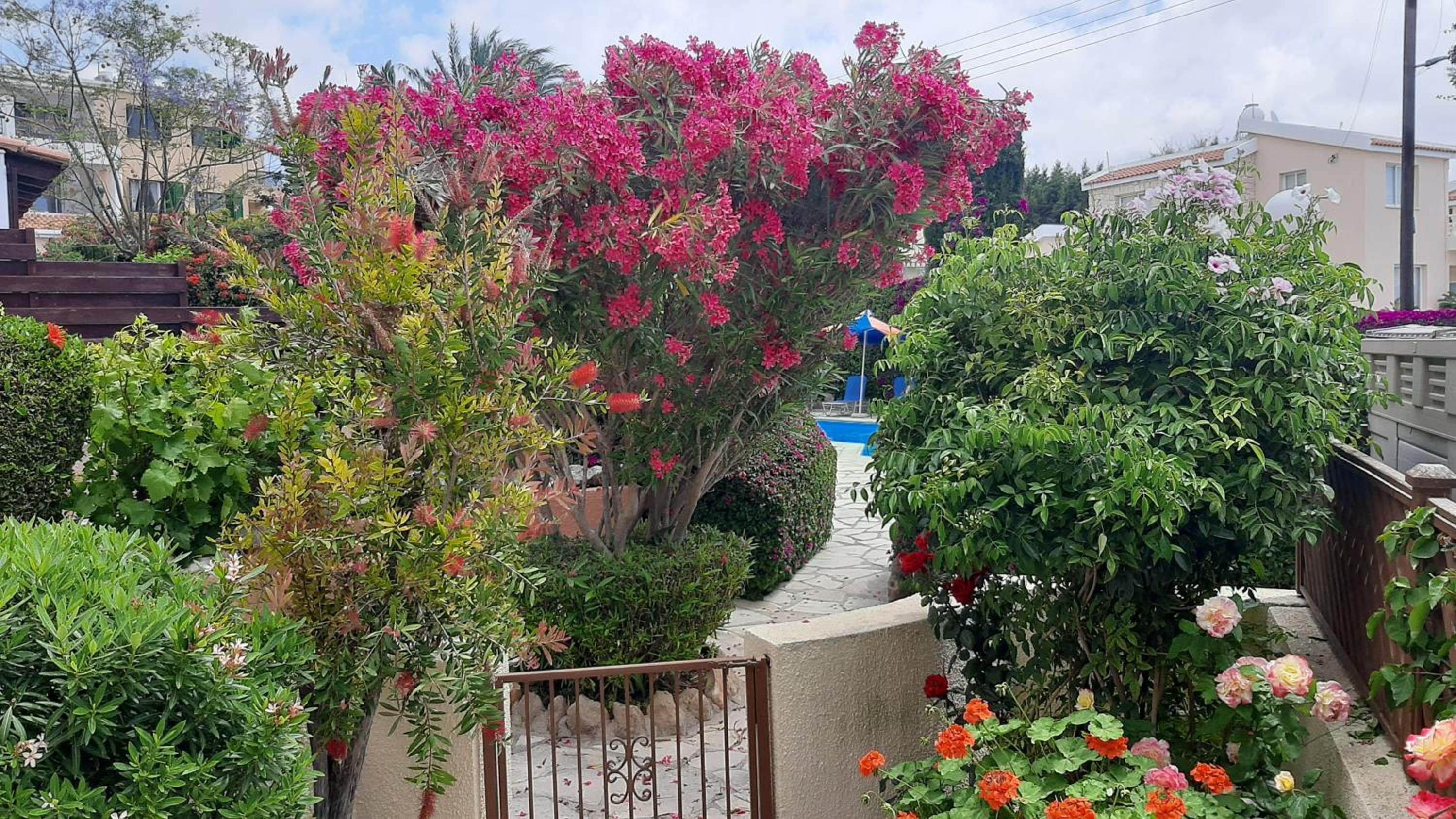 Eva Gardens corner house with stunning garden and huge swimming pool next to CORAL BAY