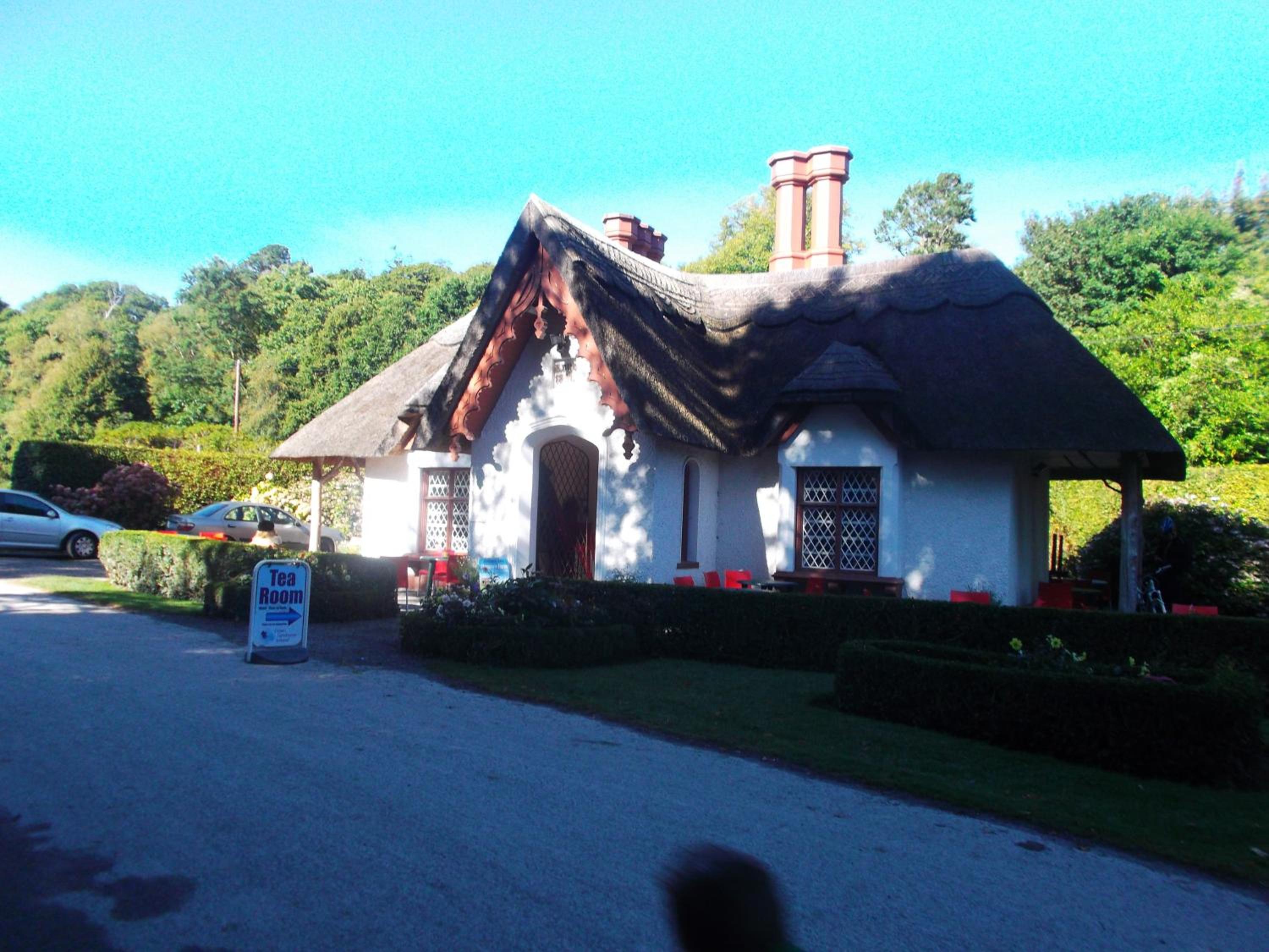 Photo 16
