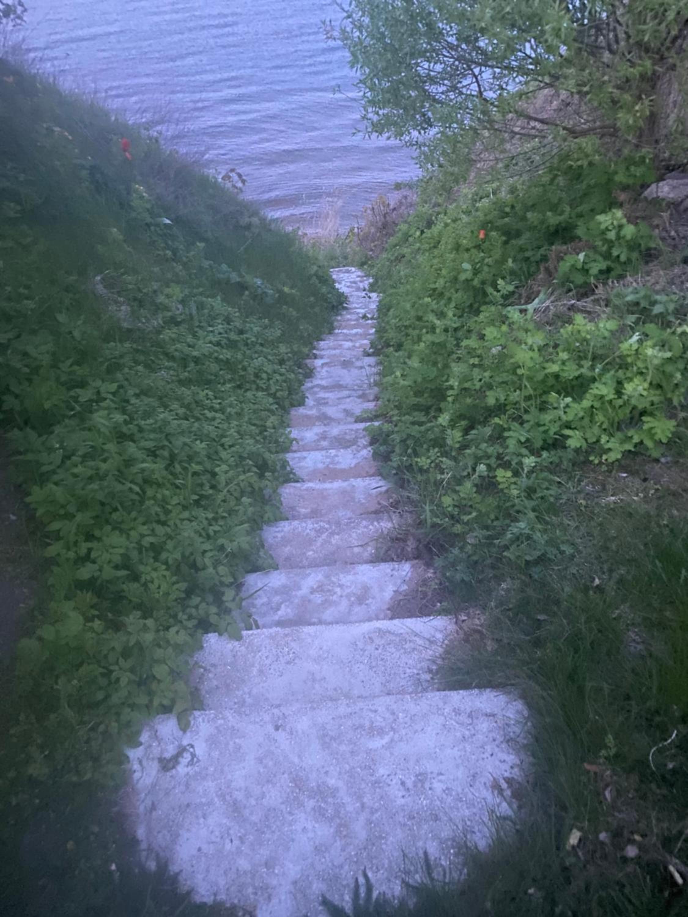 Photo 41