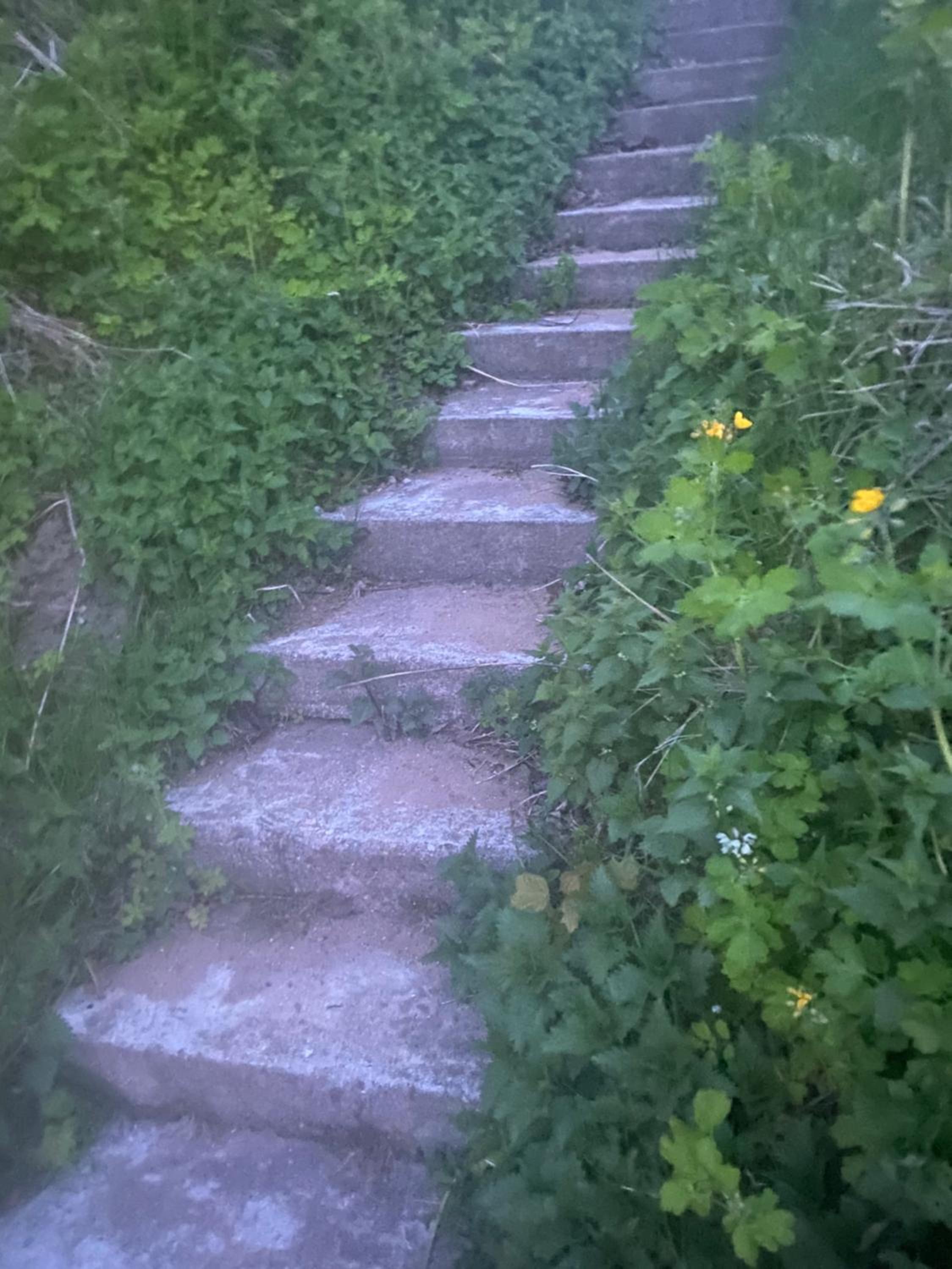 Photo 42