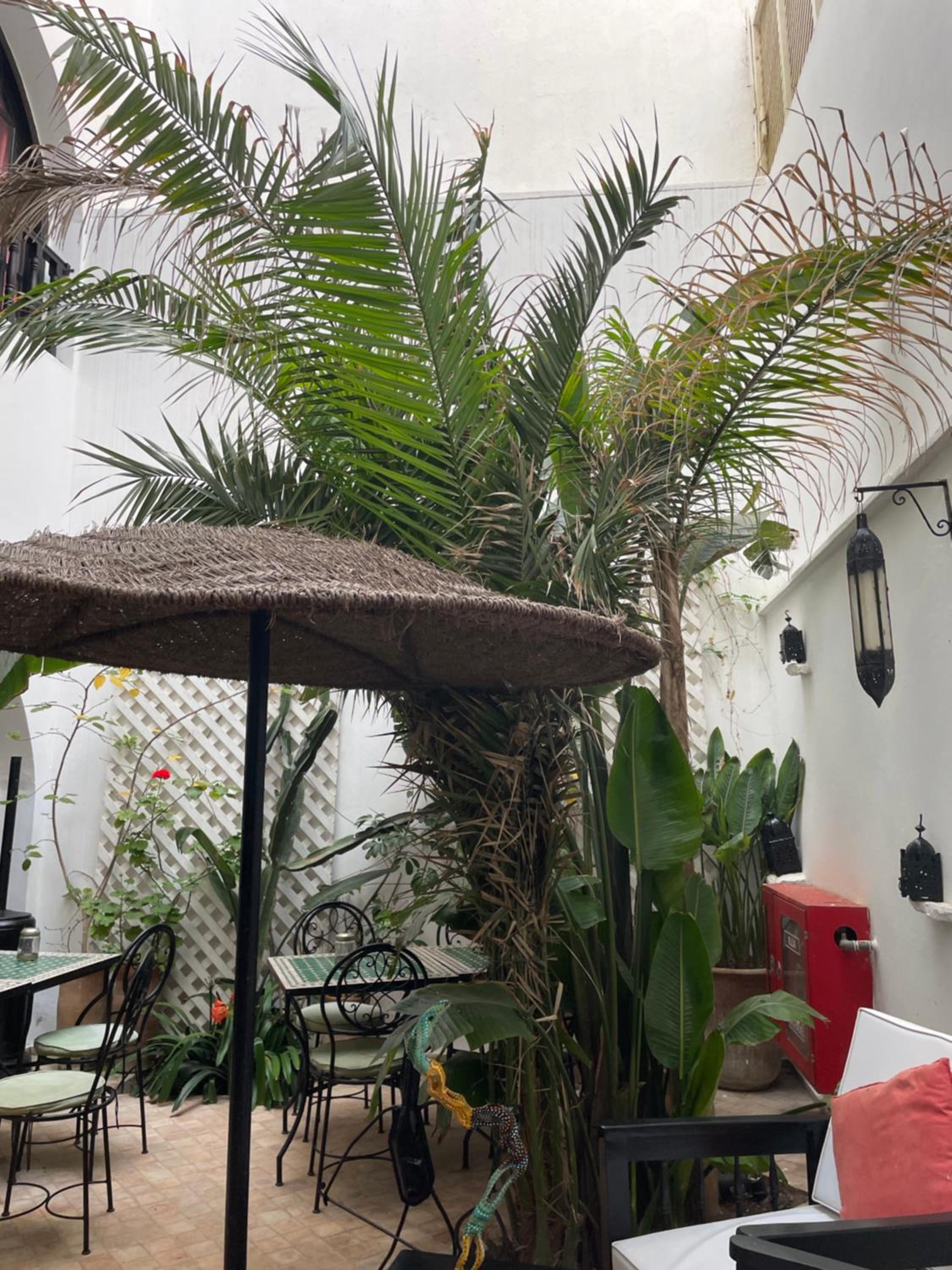 Riad Dar Awil