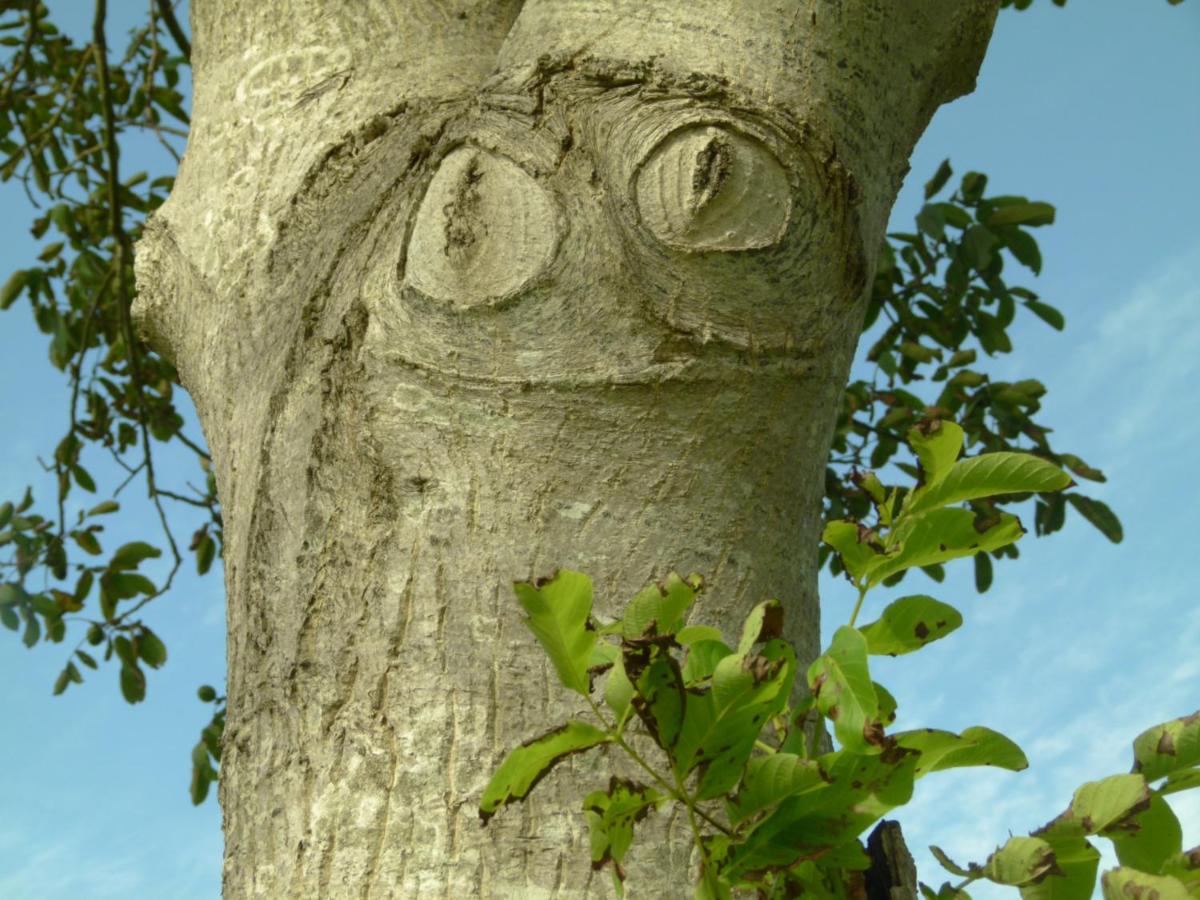 maison d'art et d'autres - Property Image 18