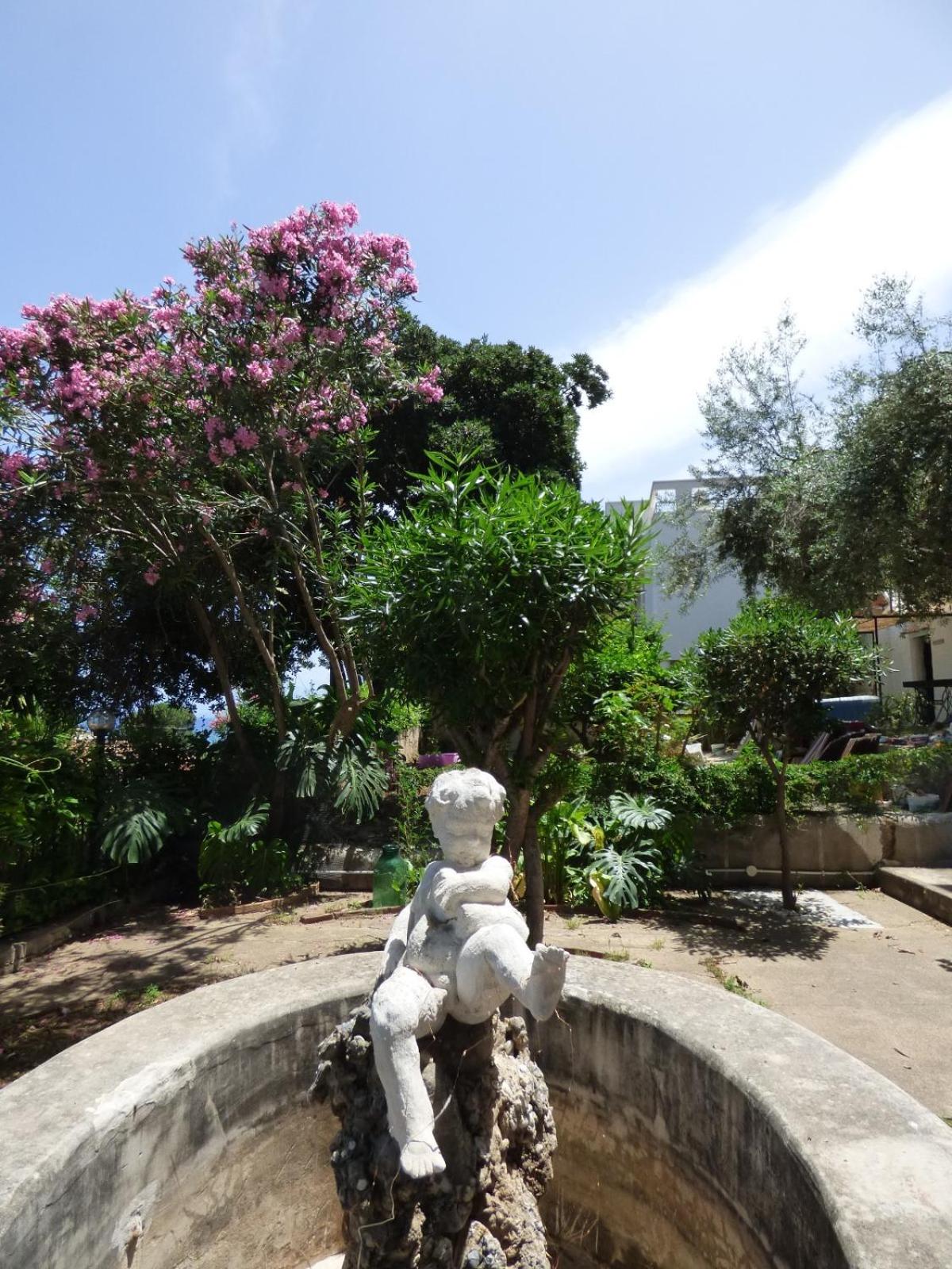 Photo 47