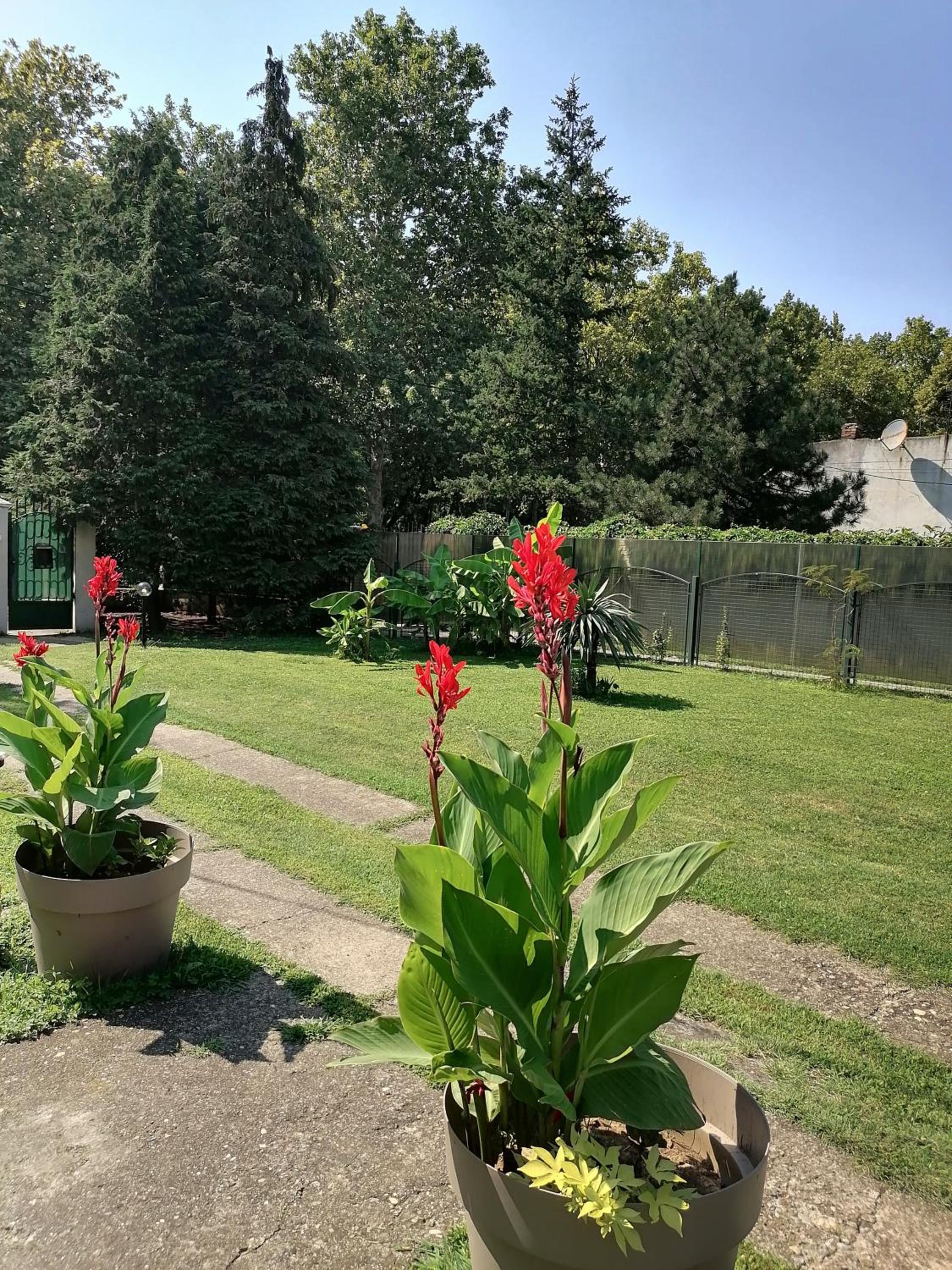 Apartman Garden House view 2