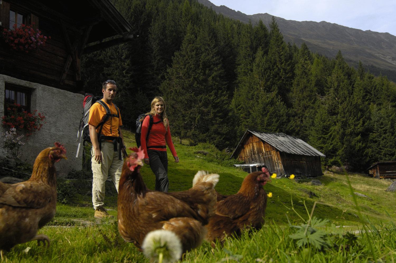 Aparthaus Camping Stubai view 2