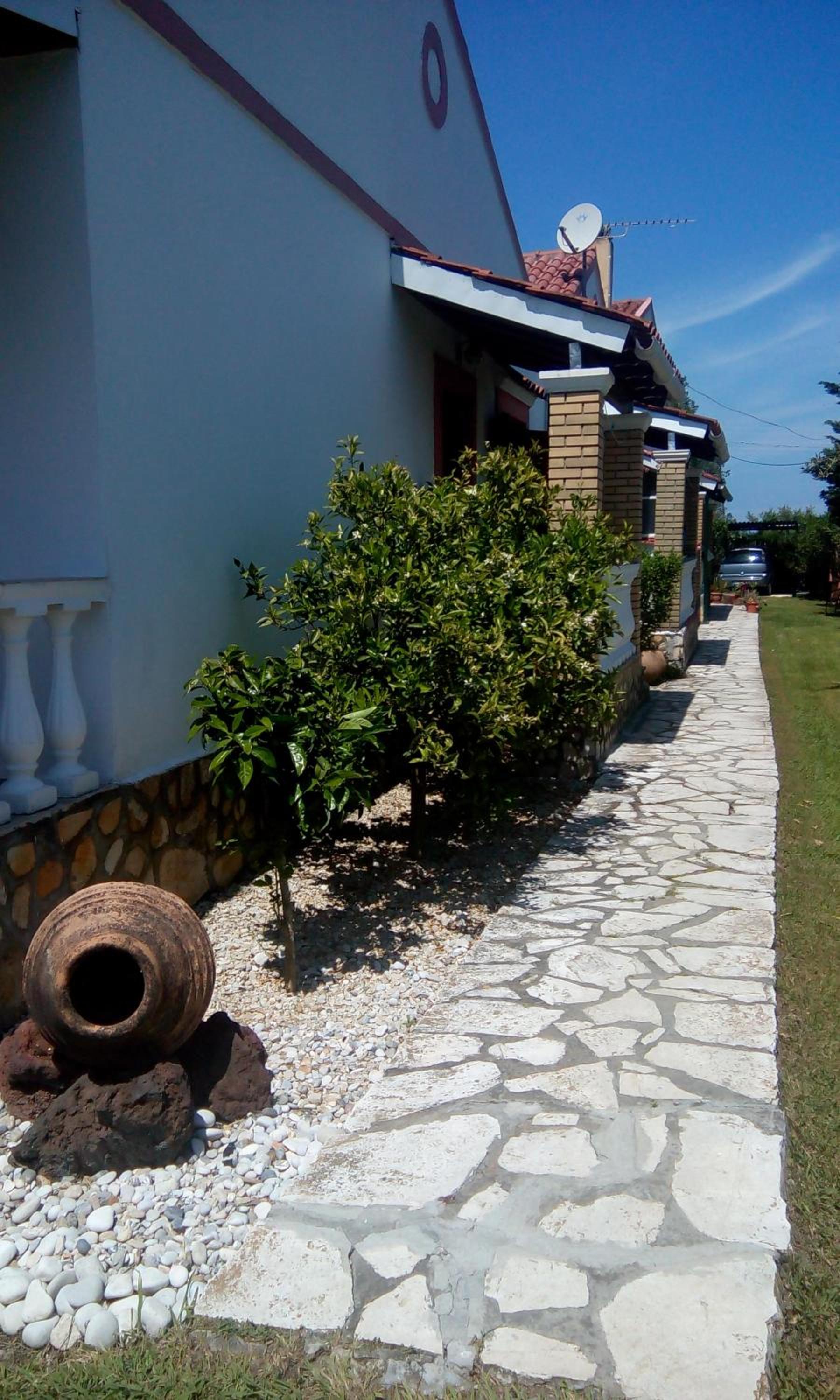 Photo 25