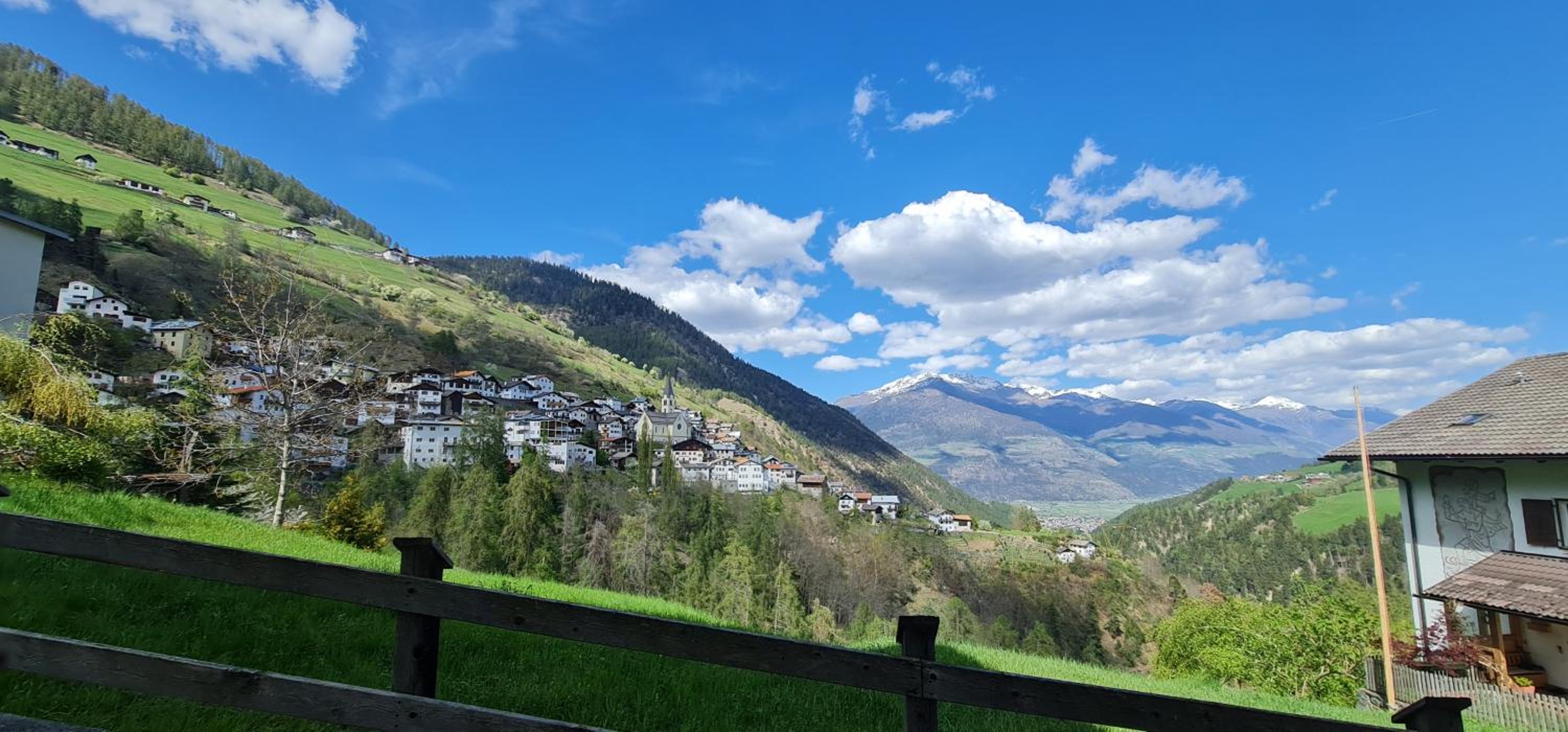 Apartment Traube - Stelvio