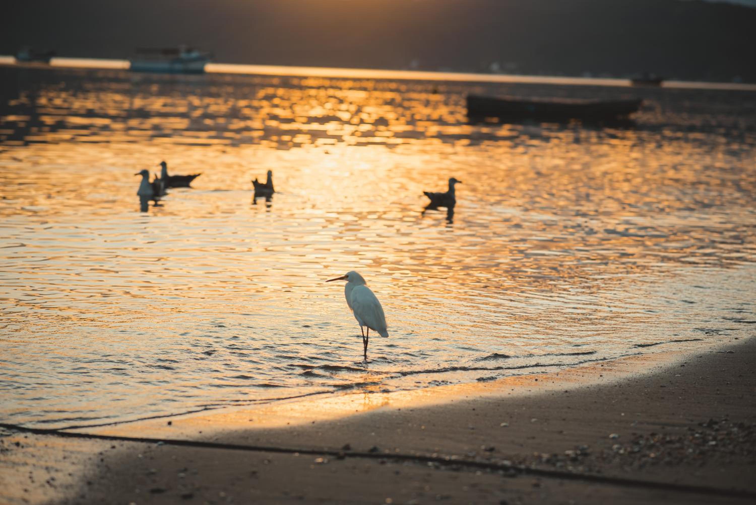 Pousada Canto do Pescador