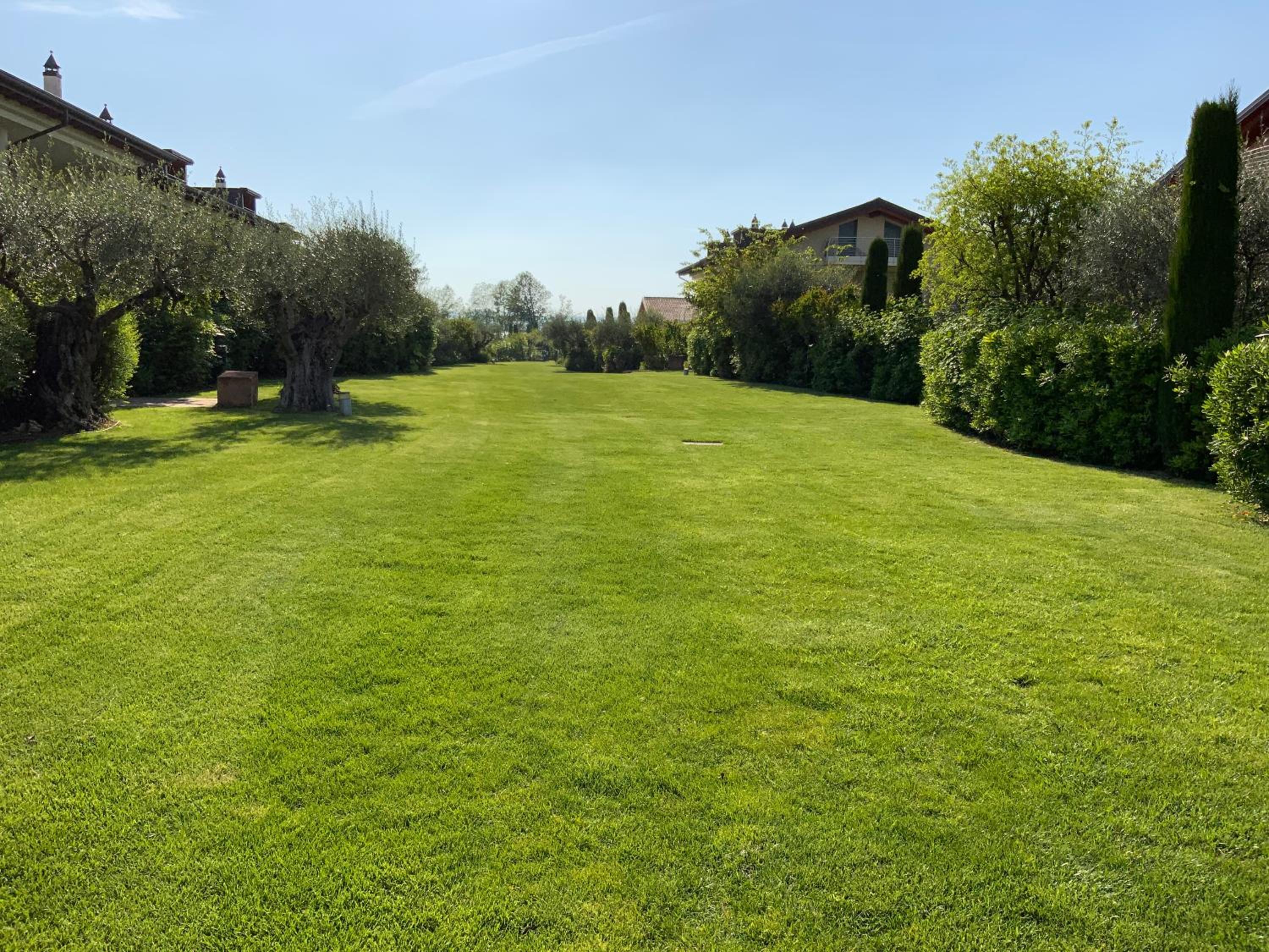 King' s Apartment photo 3