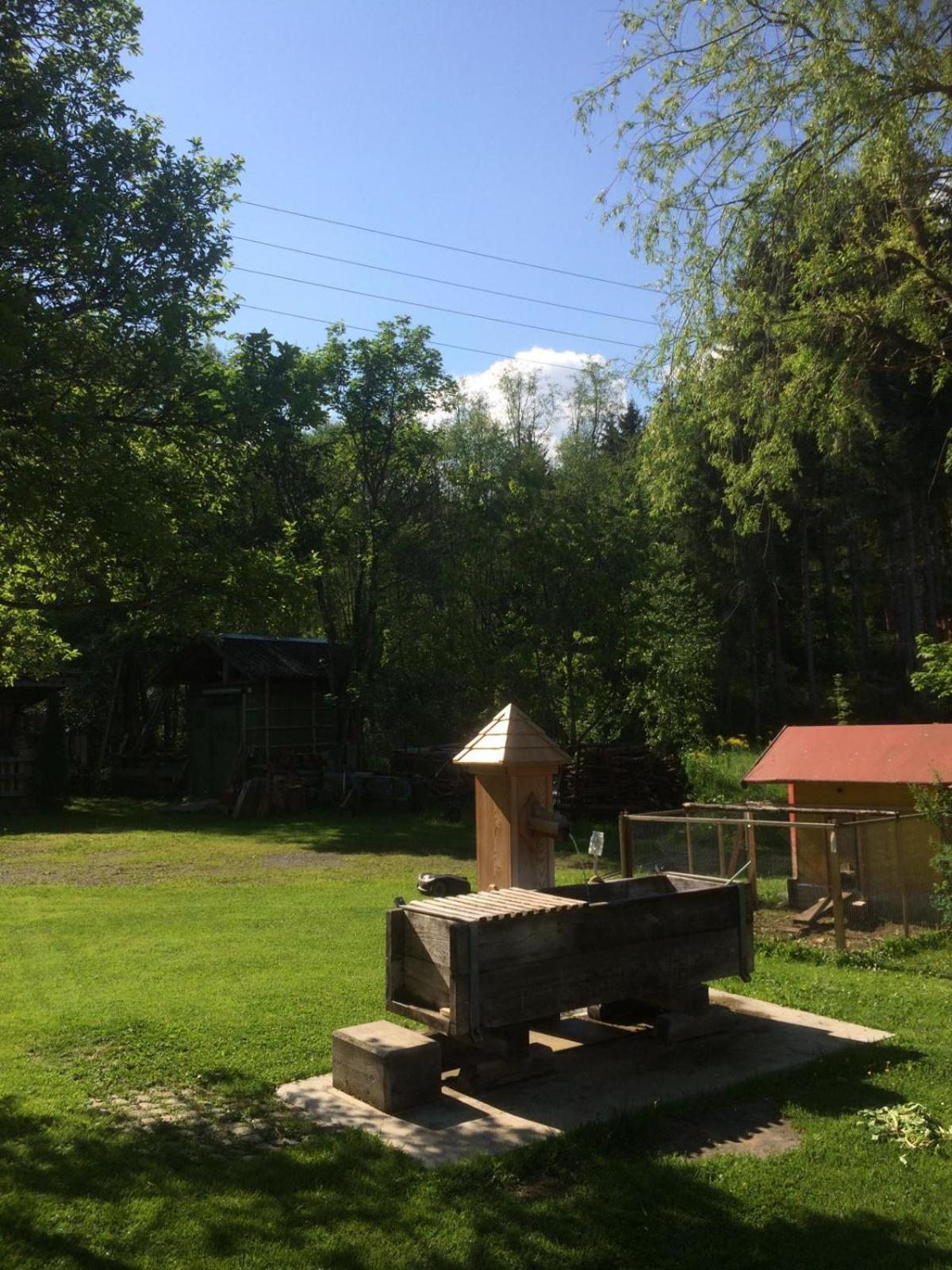 Photo 23