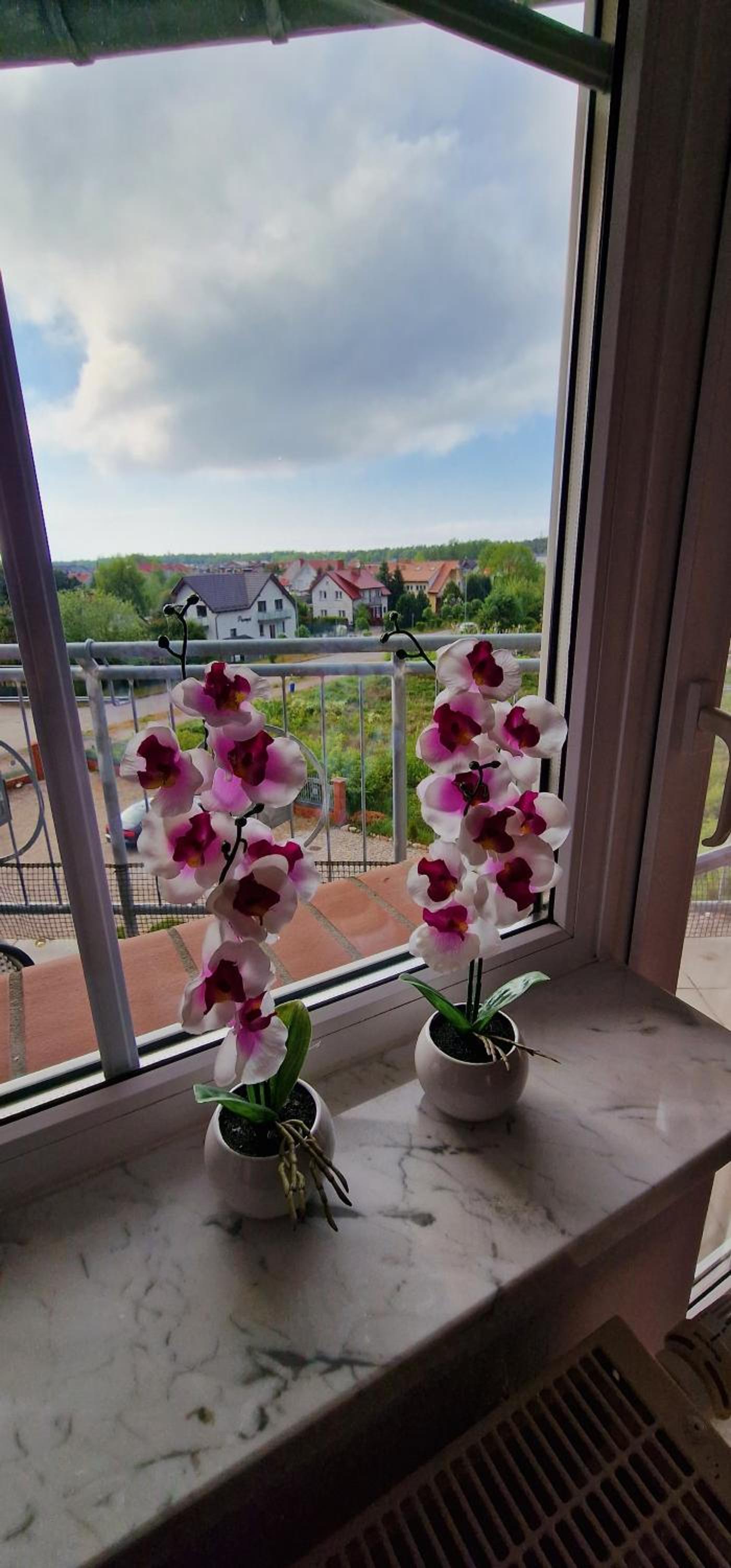 Apartamenty Hexagon nr 27 view 4
