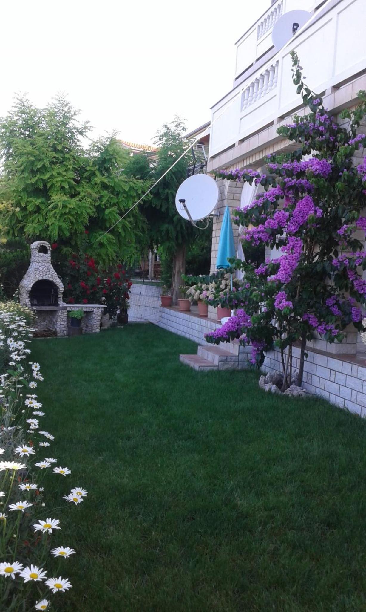 Photo 24