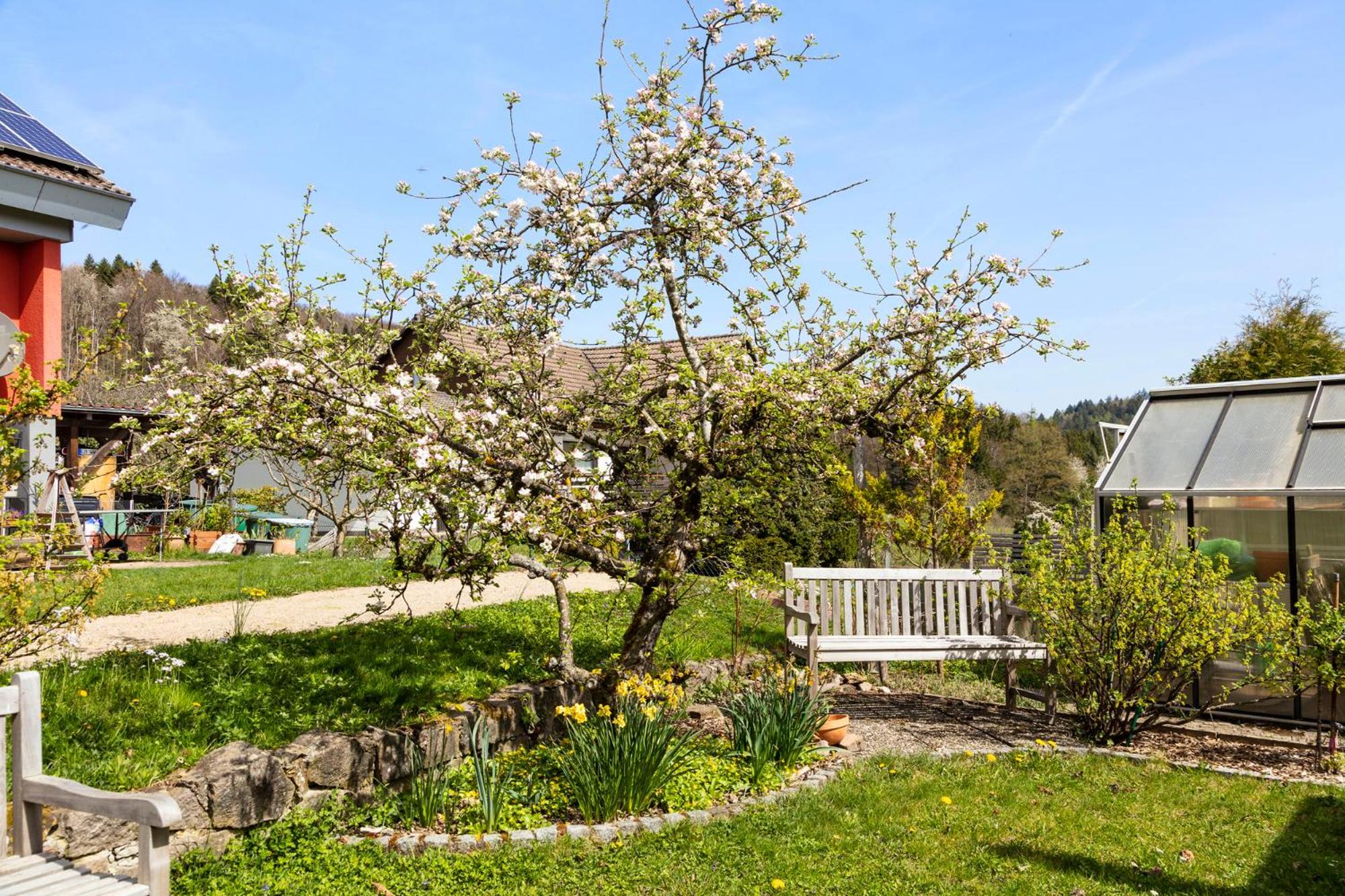 Ferienwohnung im Alpenblick