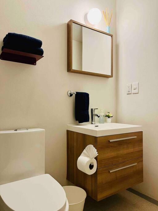 D 111 Beautiful & confortable loft centro CDMX view 4