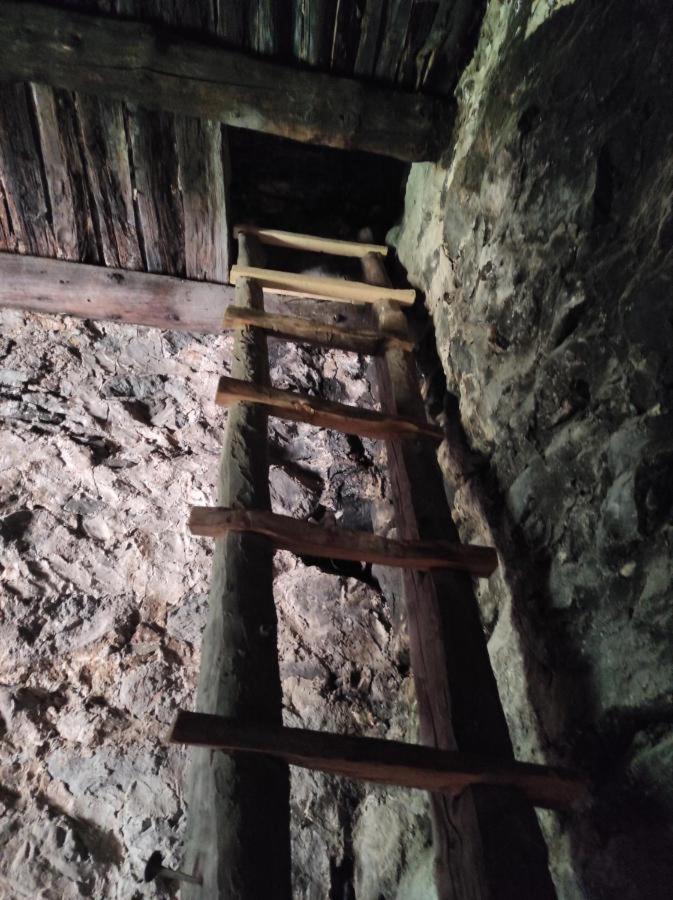 Photo 35