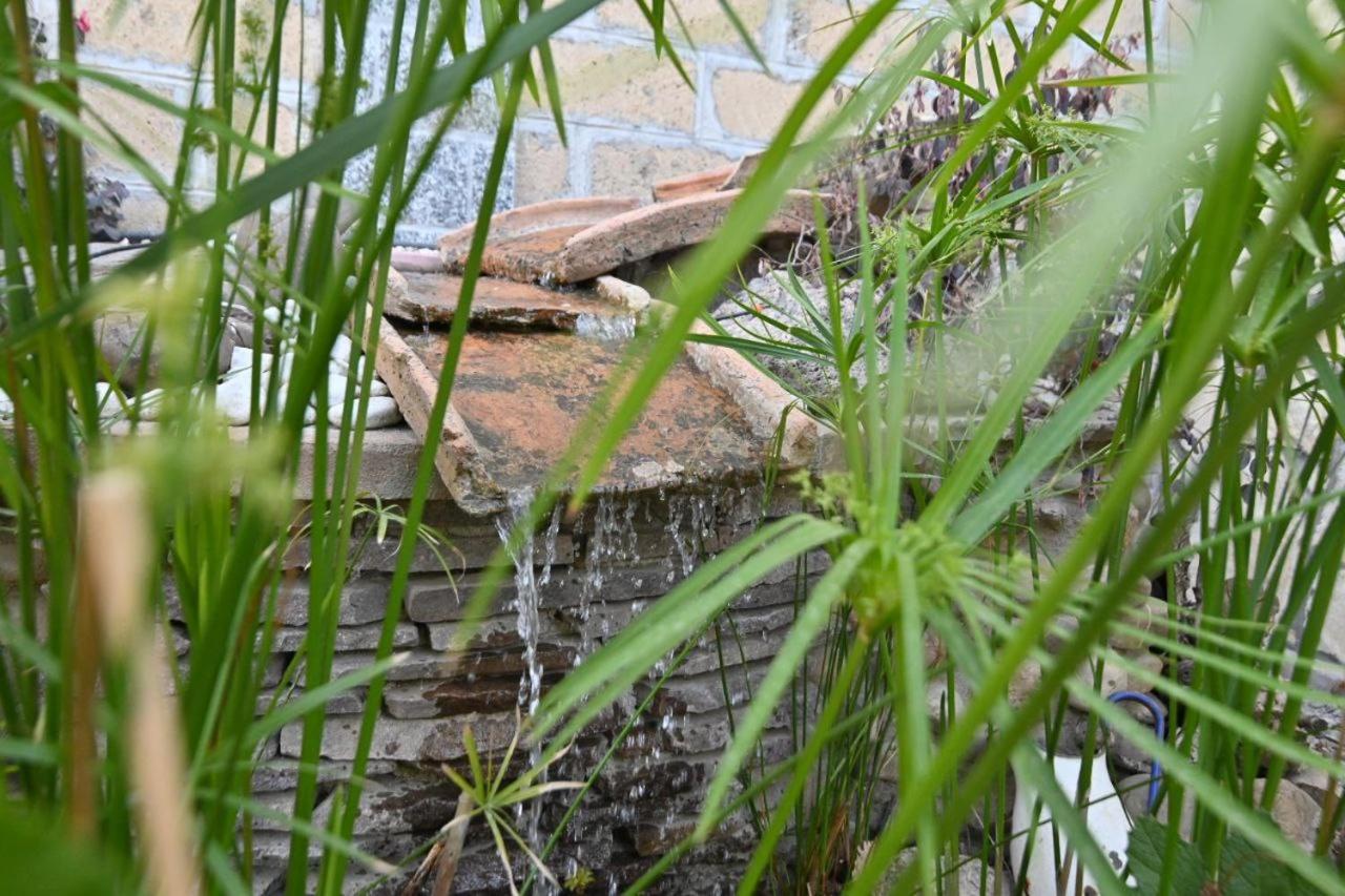 Photo 38