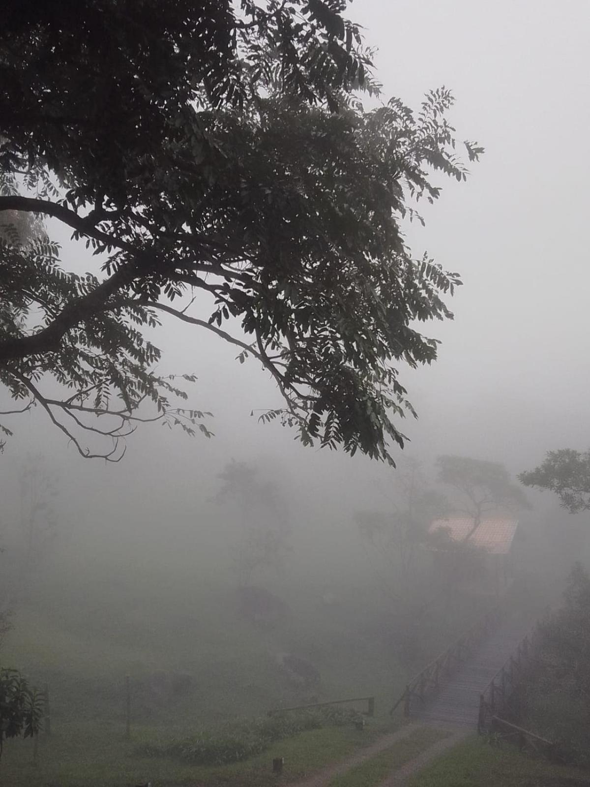 chale opucv view 3