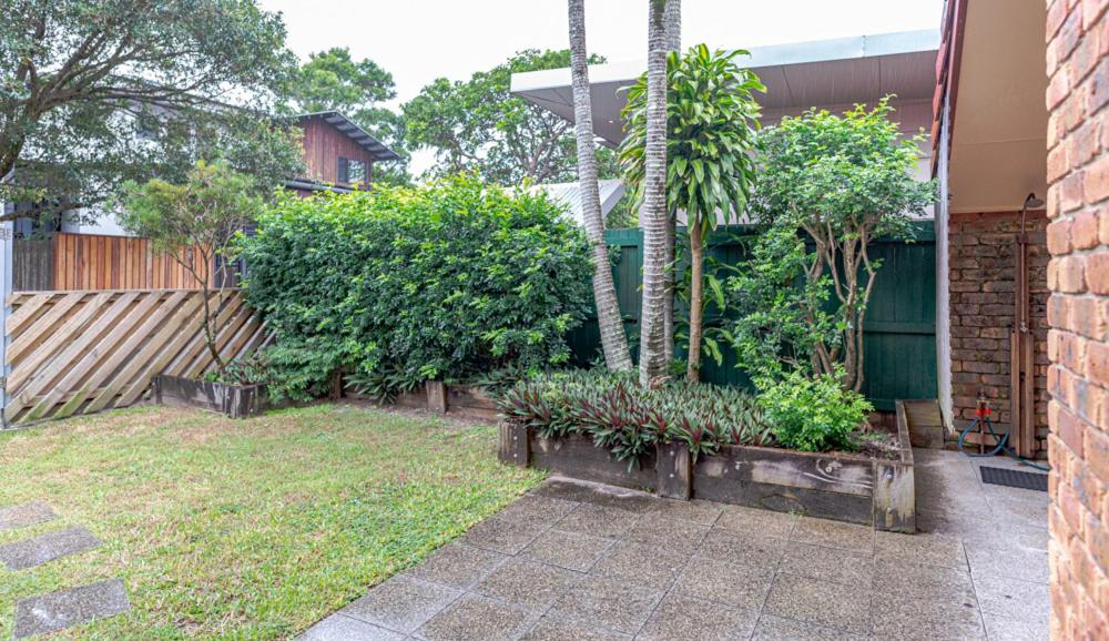 Mango Tree 4 - 63 Shirley Street