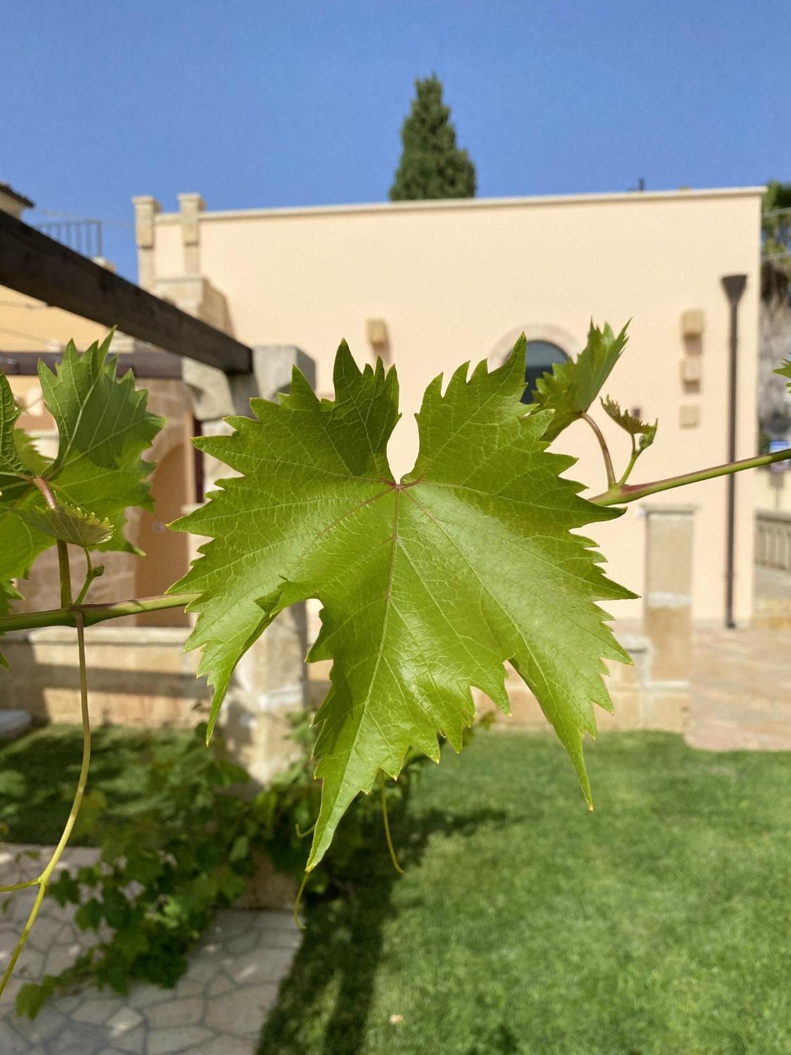 Comfortable House with Fenced Garden - Surano - Fireplace