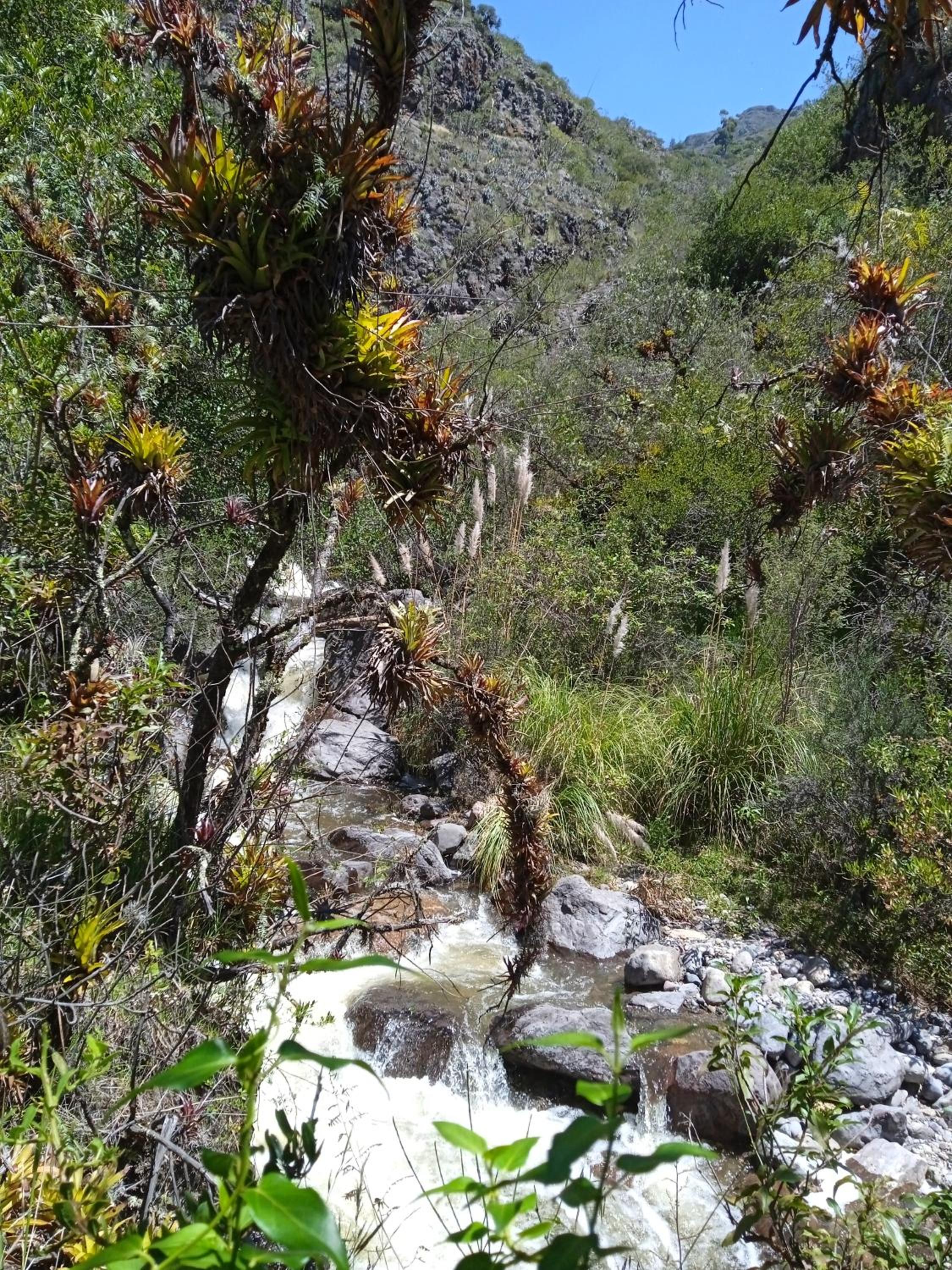 Photo 40