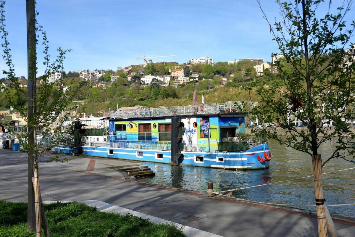 Studio sur Peniche, Le Cormoran, Bord De Saone A Lyon view 5