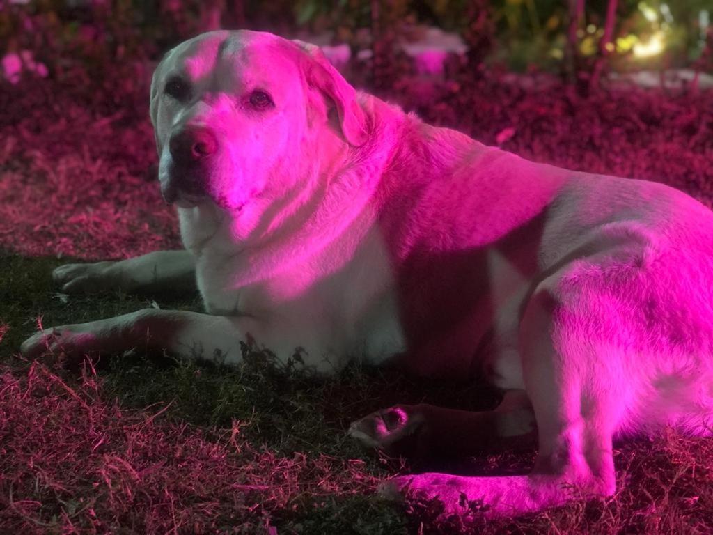 Photo 34