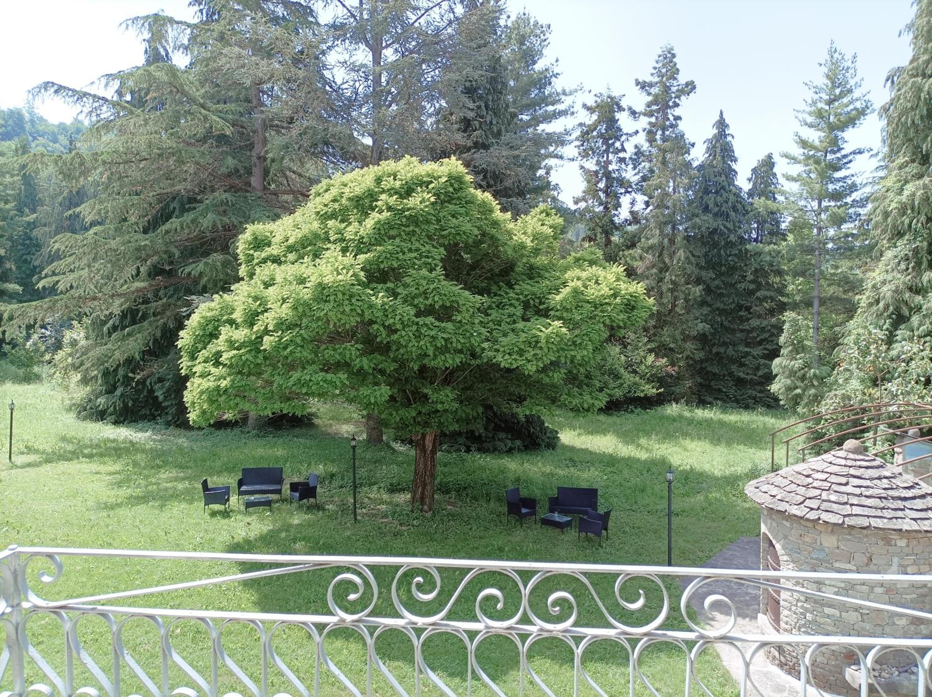 Photo 30