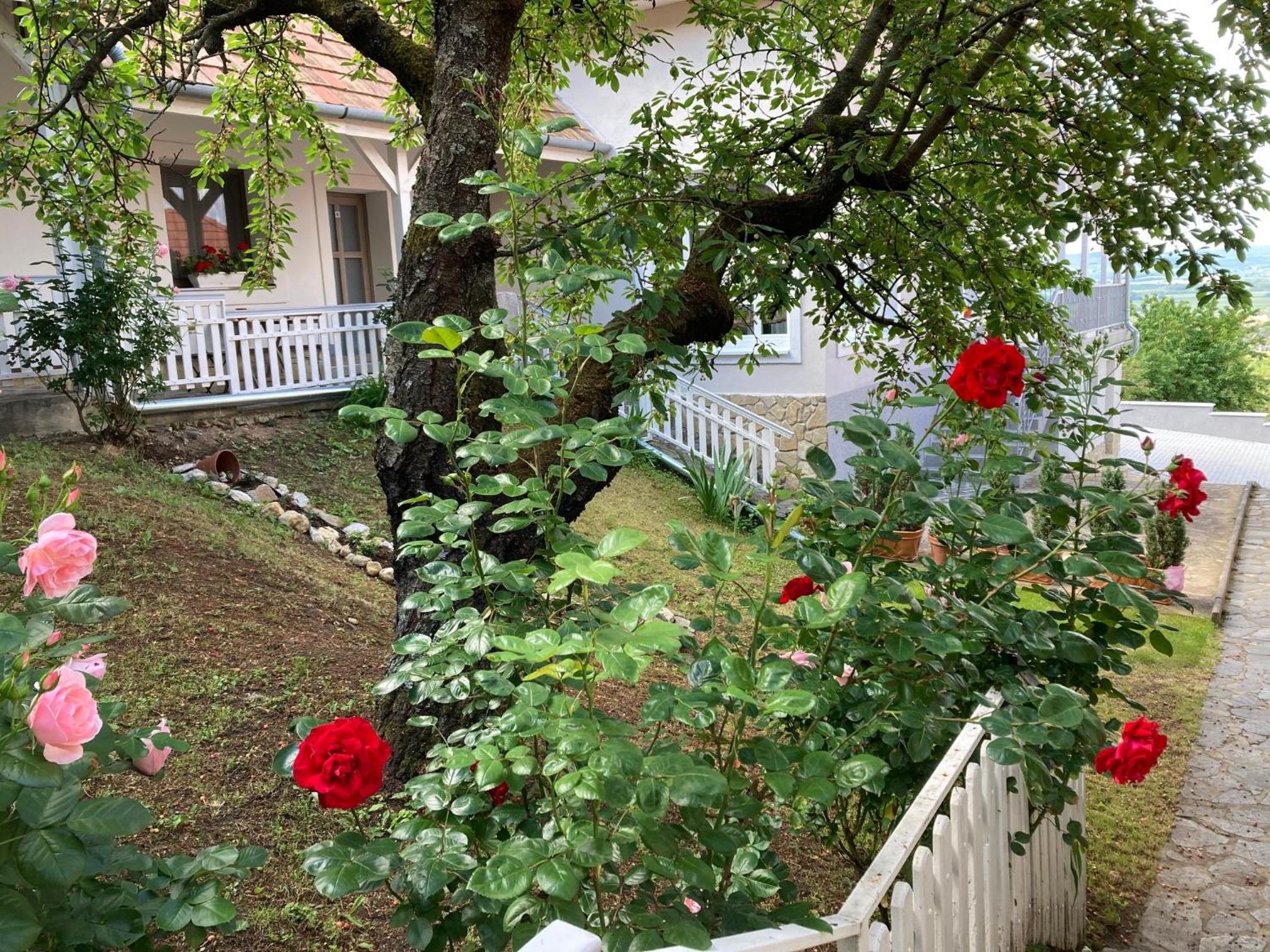 Photo 27