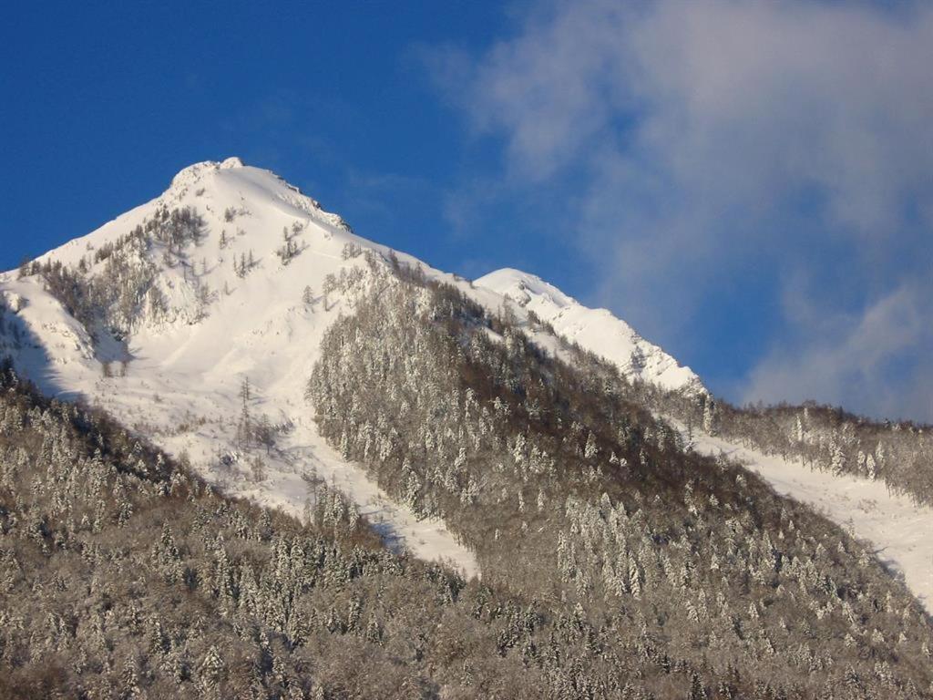 Gausrab