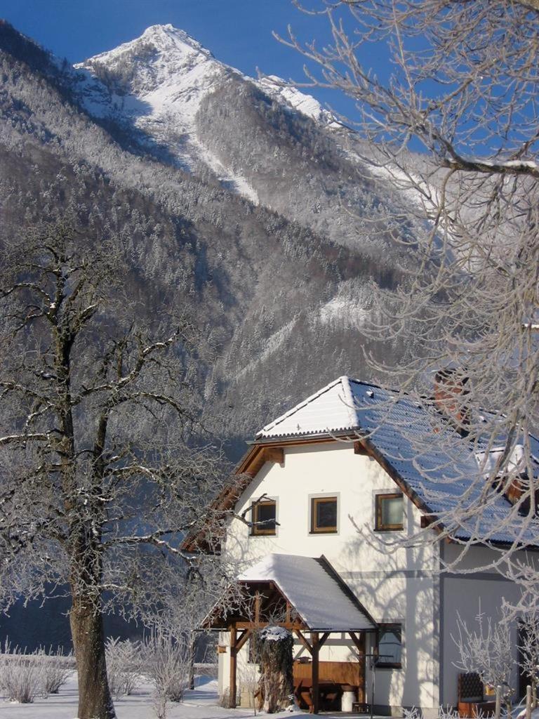 Gausrab