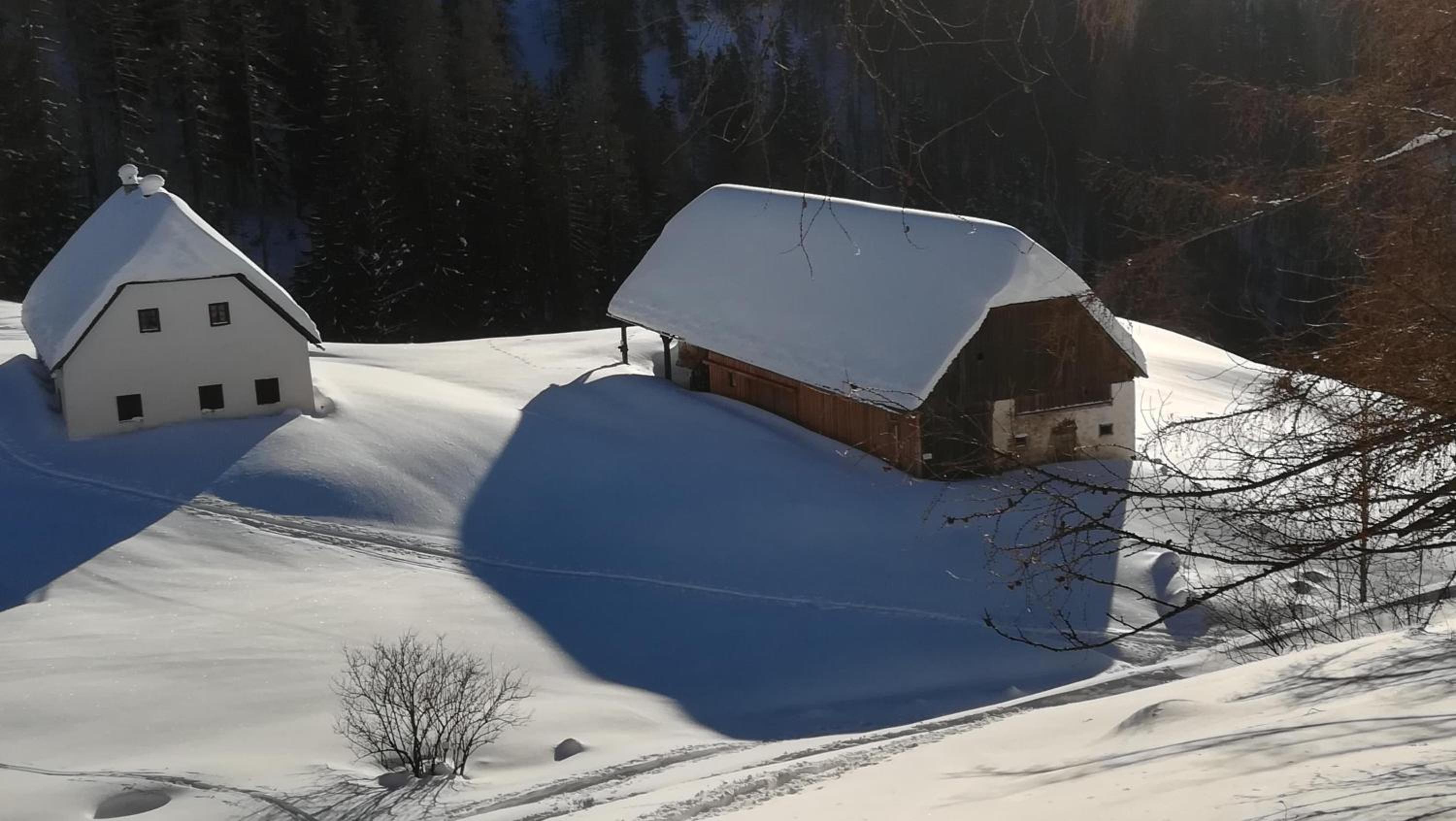 Gausrab