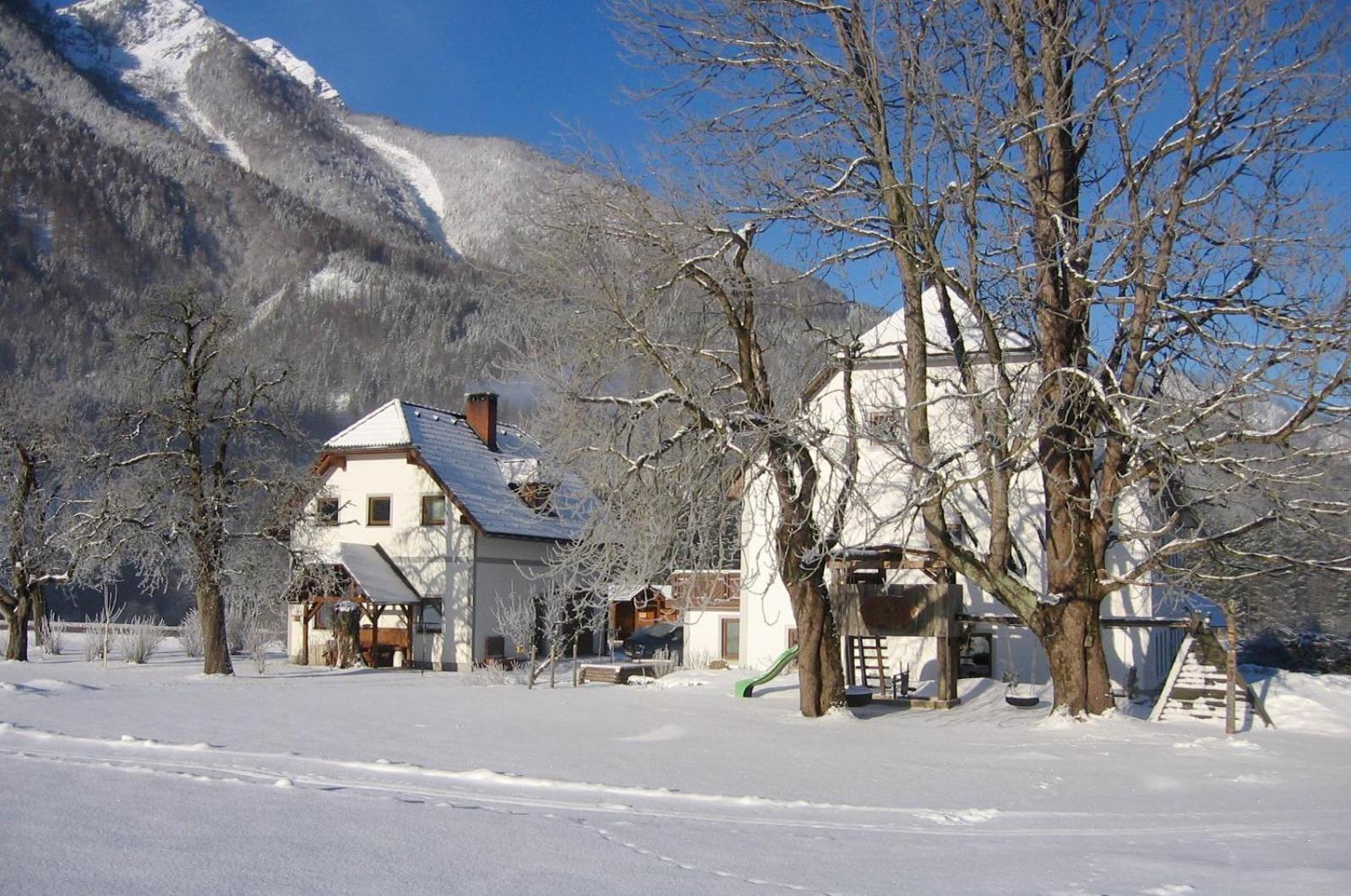 Gausrab