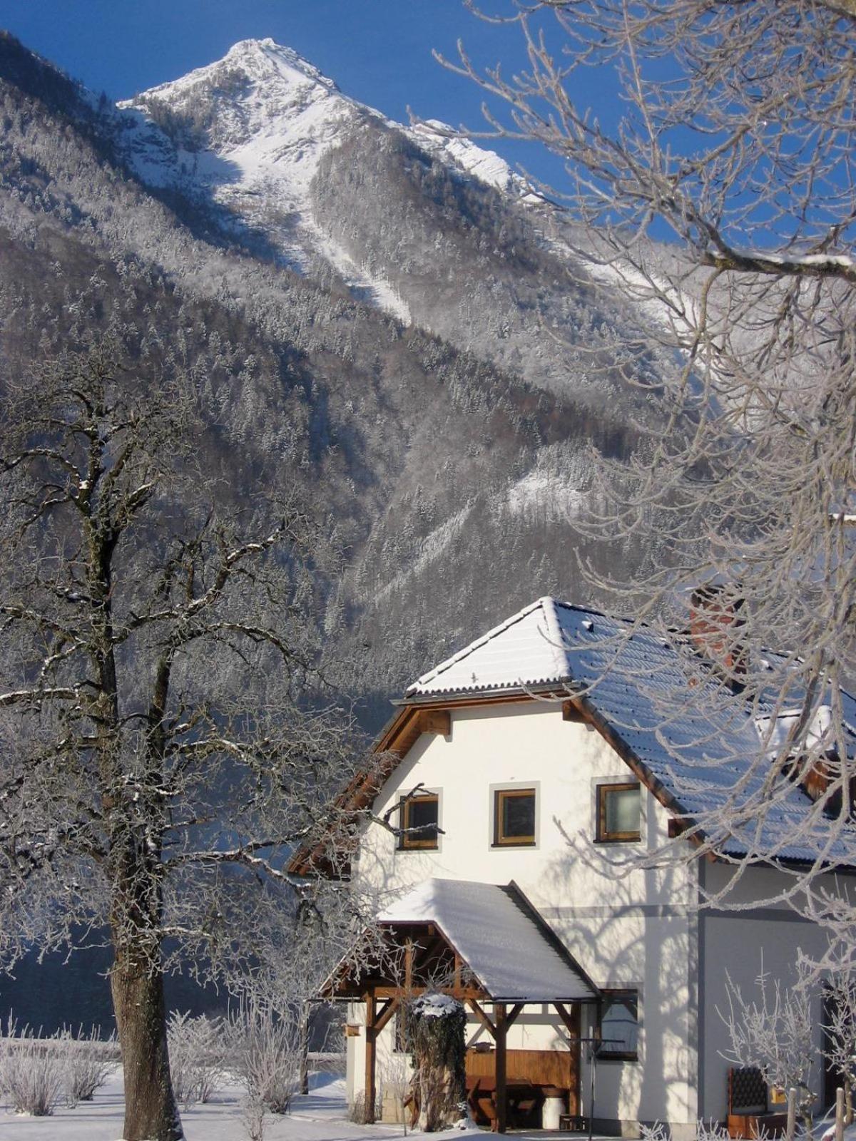 Gausrab