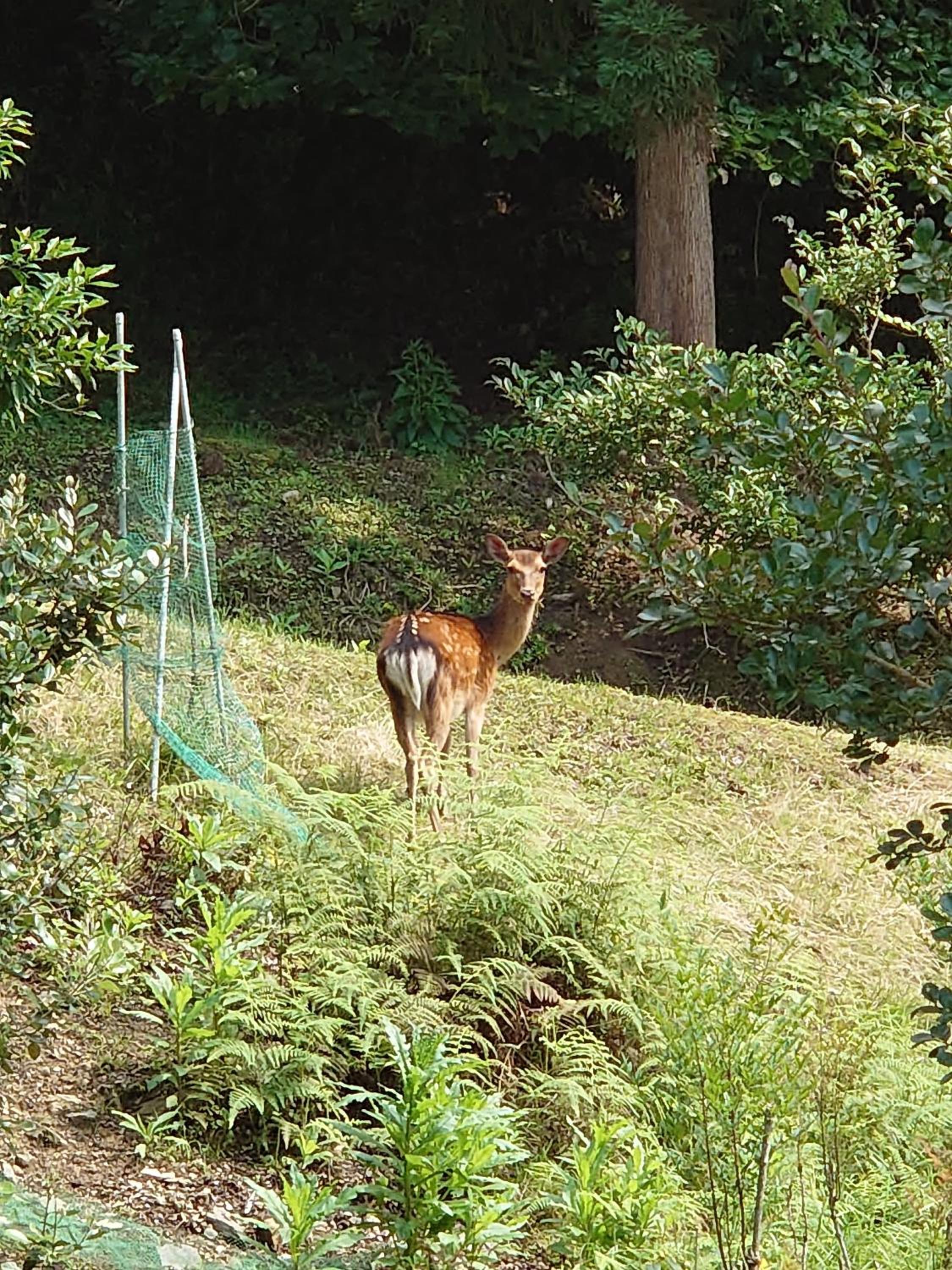 Photo 34