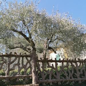 La Cantina Del Sole