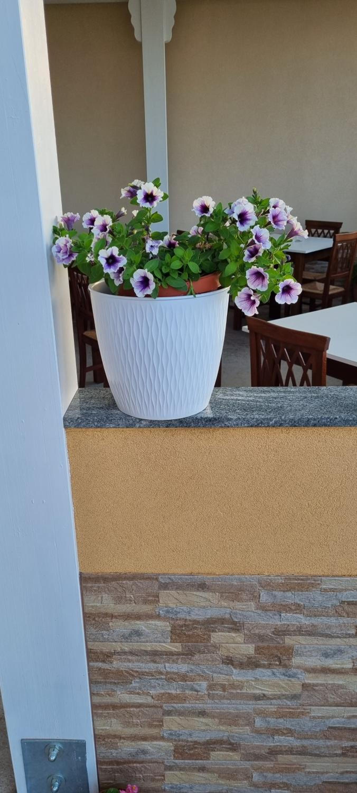 B&B Villa Eleonora Tropea