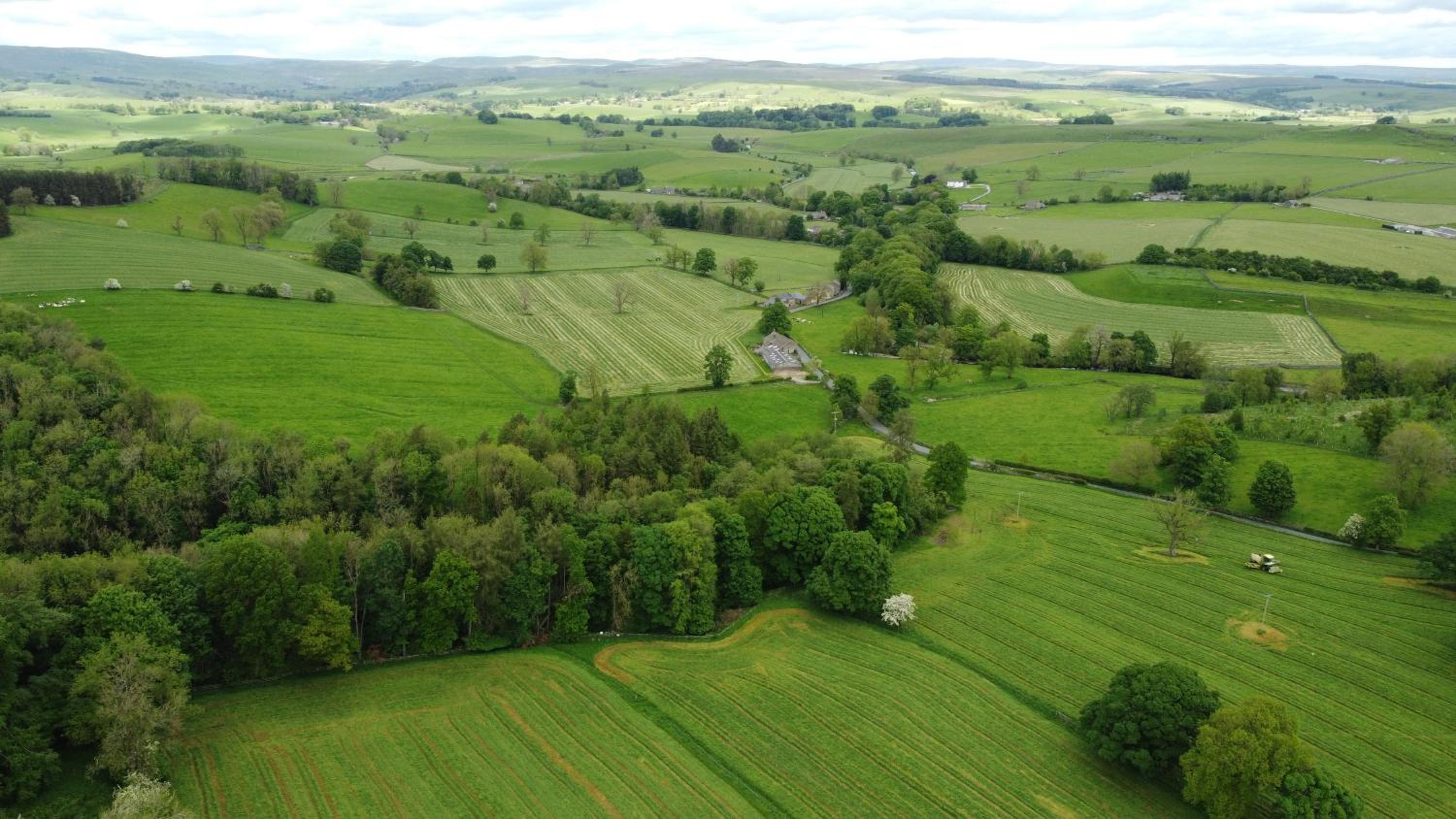 Green Grove Country House